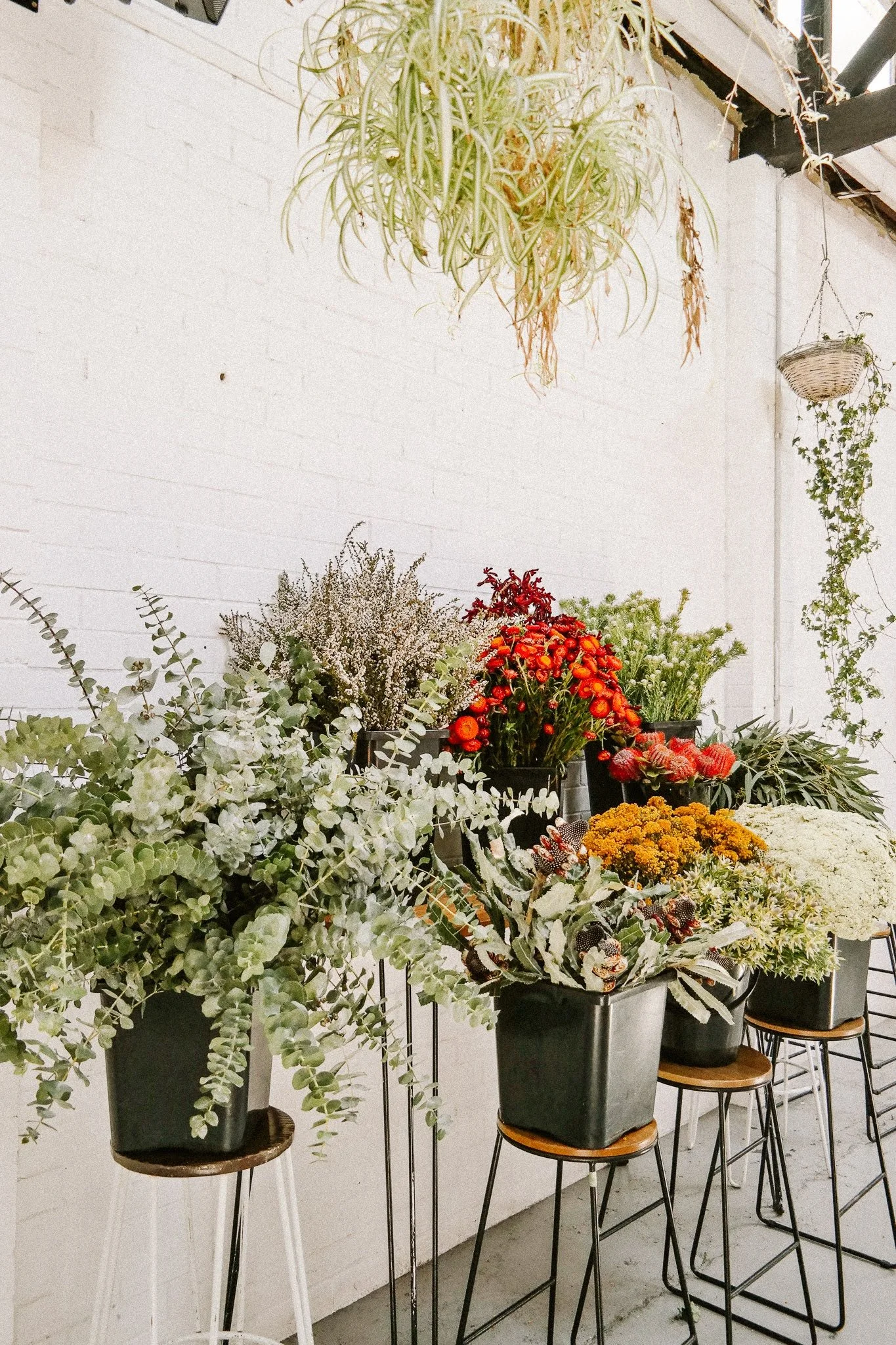 Euka Native Wreath Workshop Christmas.jpg