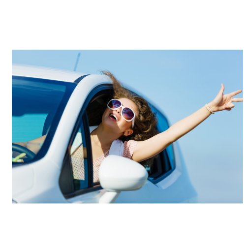 Adult 6 Hour Class (Online Class)