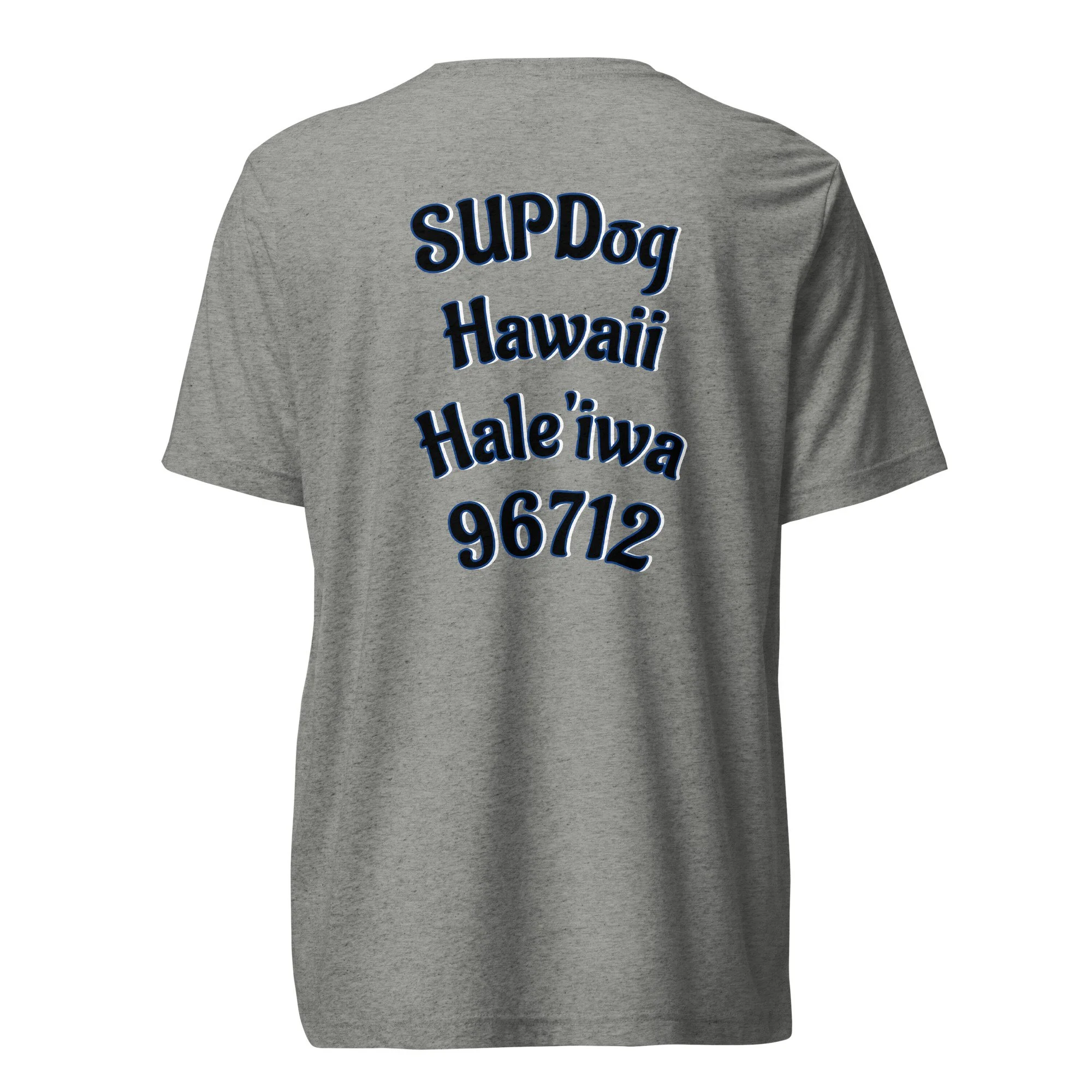 unisex-tri-blend-t-shirt-athletic-grey-triblend-back-68acb8627b637.jpg