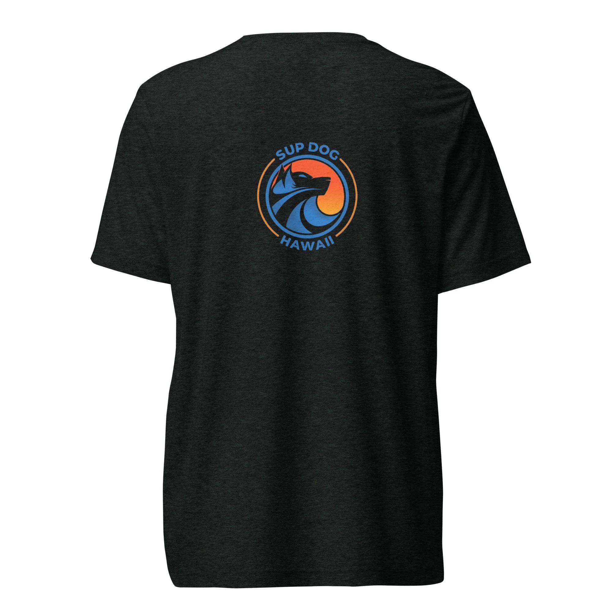 unisex-tri-blend-t-shirt-charcoal-black-triblend-back-69fd990120e36.jpg