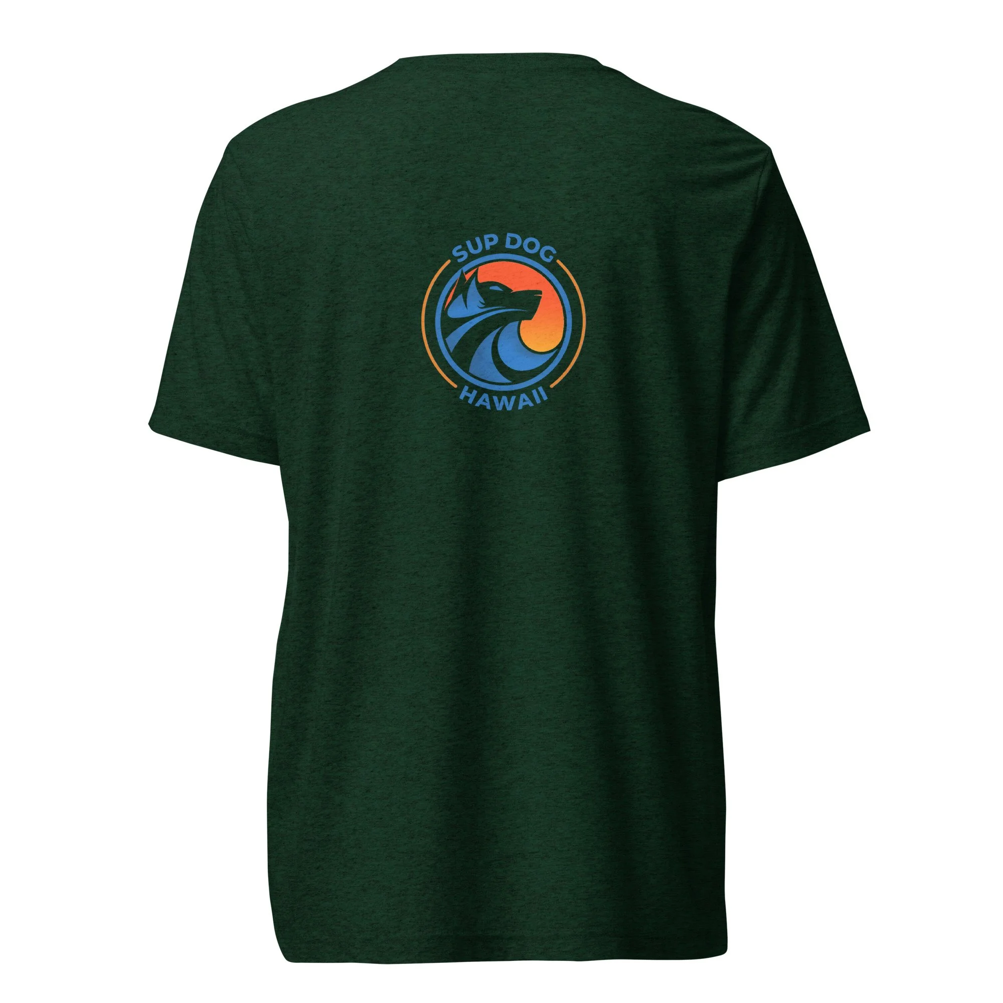 unisex-tri-blend-t-shirt-emerald-triblend-back-69fd99012bba0.jpg