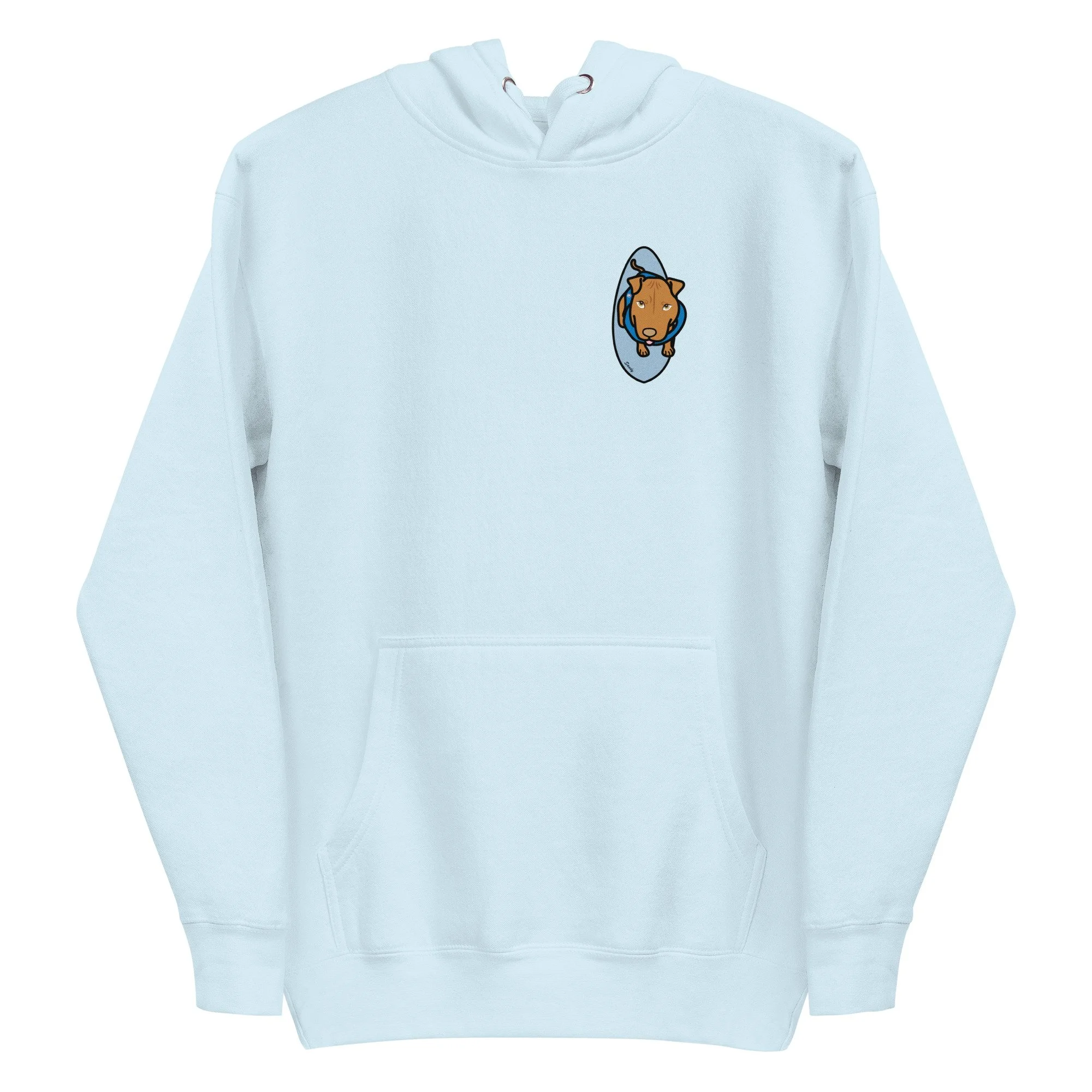 unisex-premium-pullover-hoodie-sky-blue-front-69fd9a138580a.jpg