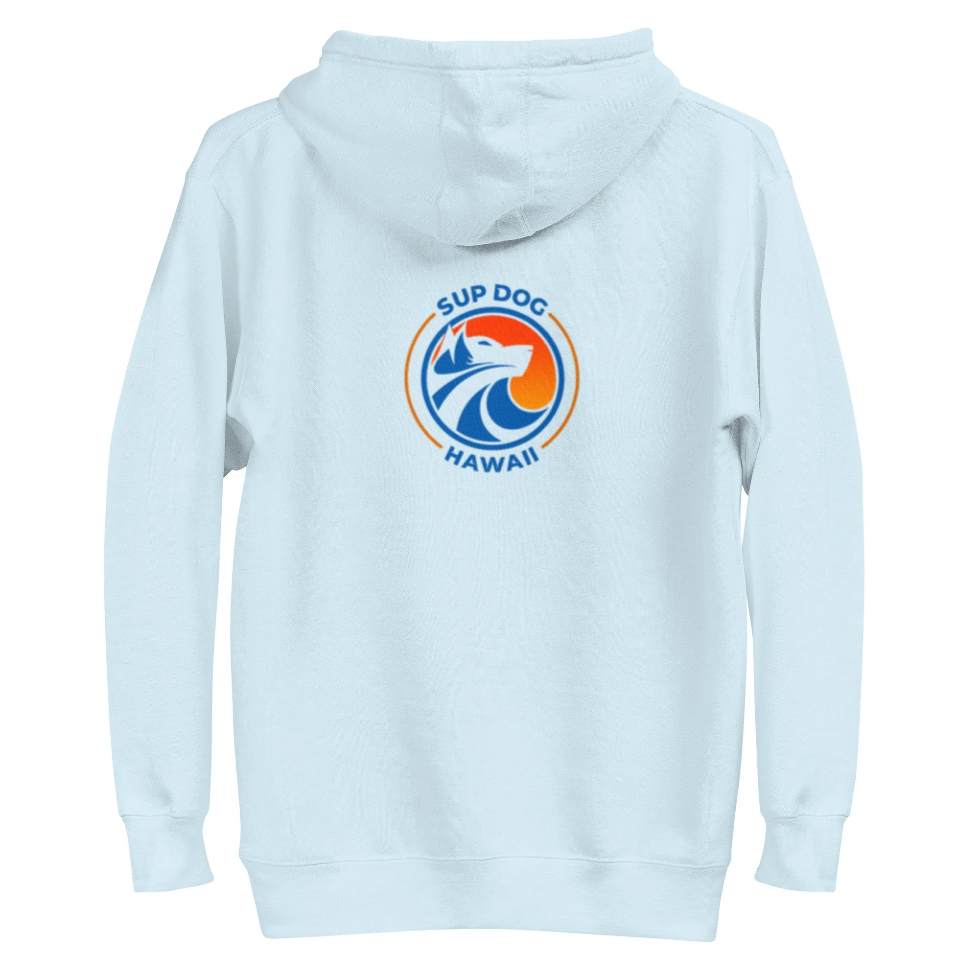 unisex-premium-pullover-hoodie-sky-blue-back-69fd9a1388ee8.jpg
