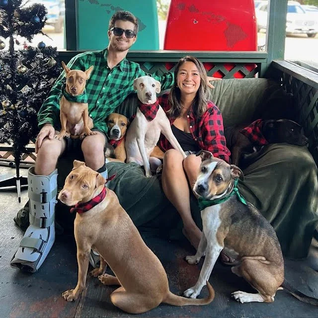 Ocean Training & Bonding Adventures with Dogs - Hawaii.