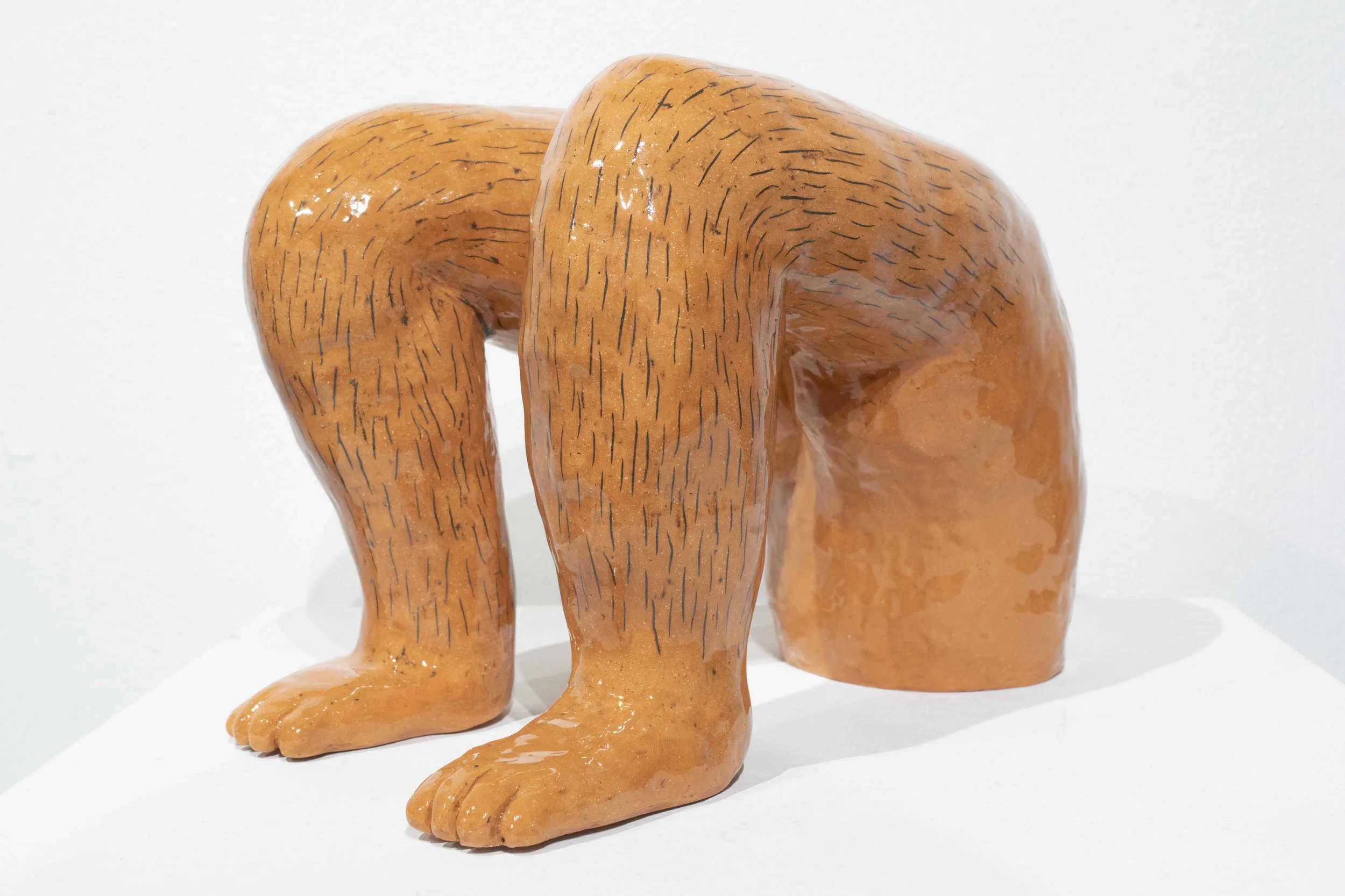 10_10_18legs5.jpg