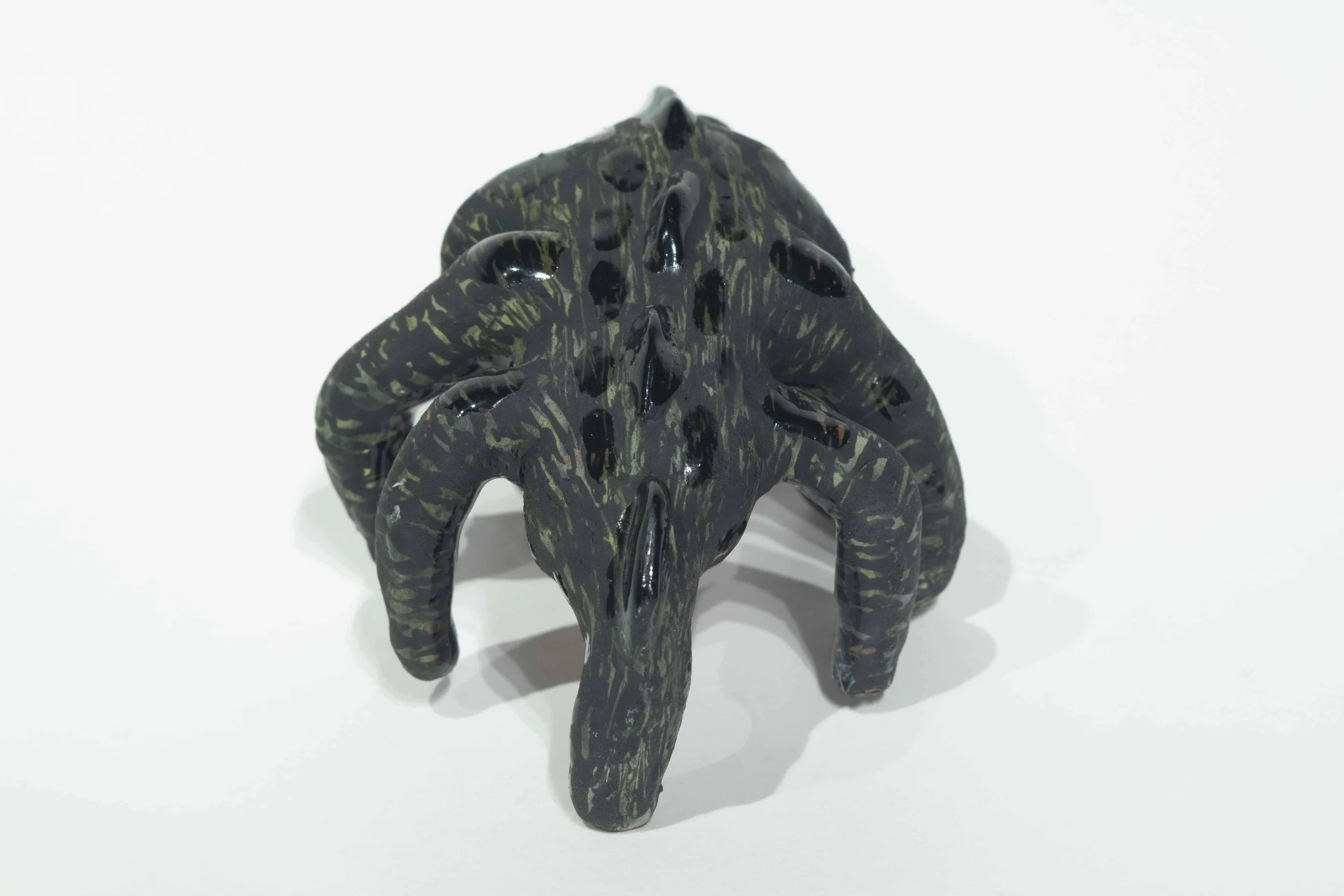 10_10_18arachnid5.jpg