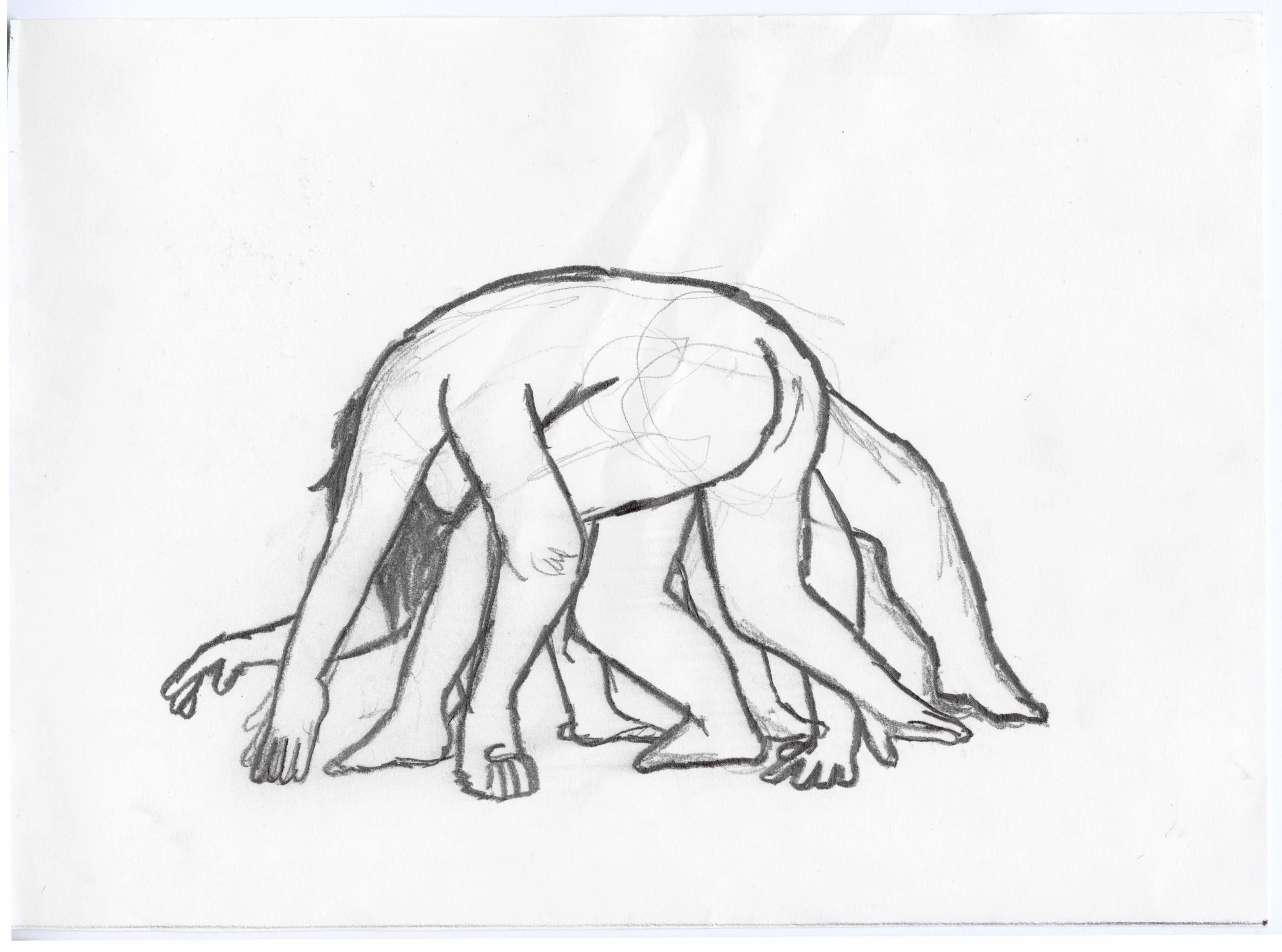 limbs sketch.jpg
