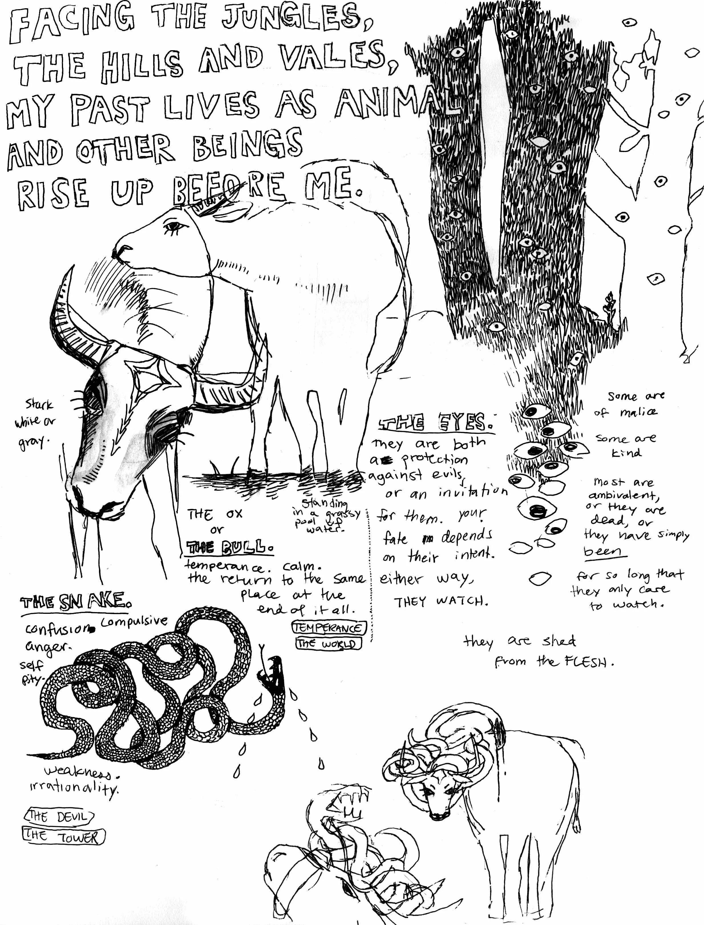 sketchbookmapping2.jpg