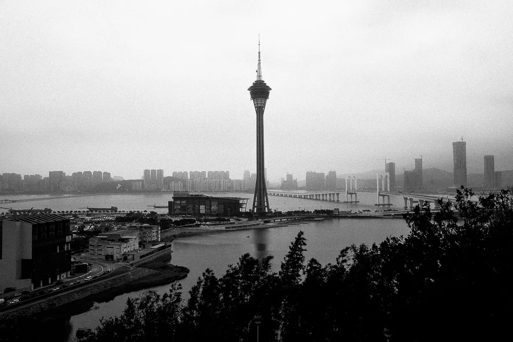 DSCF8533.jpg