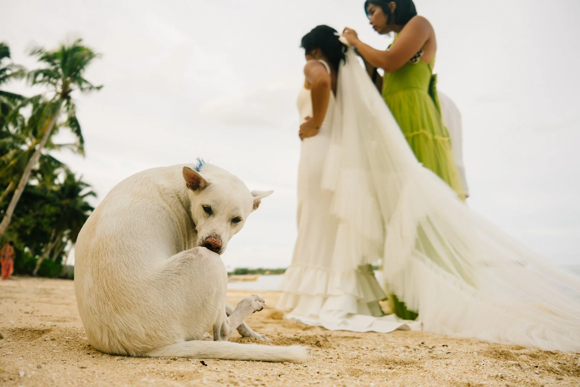 Francis & Niqui-626.jpg