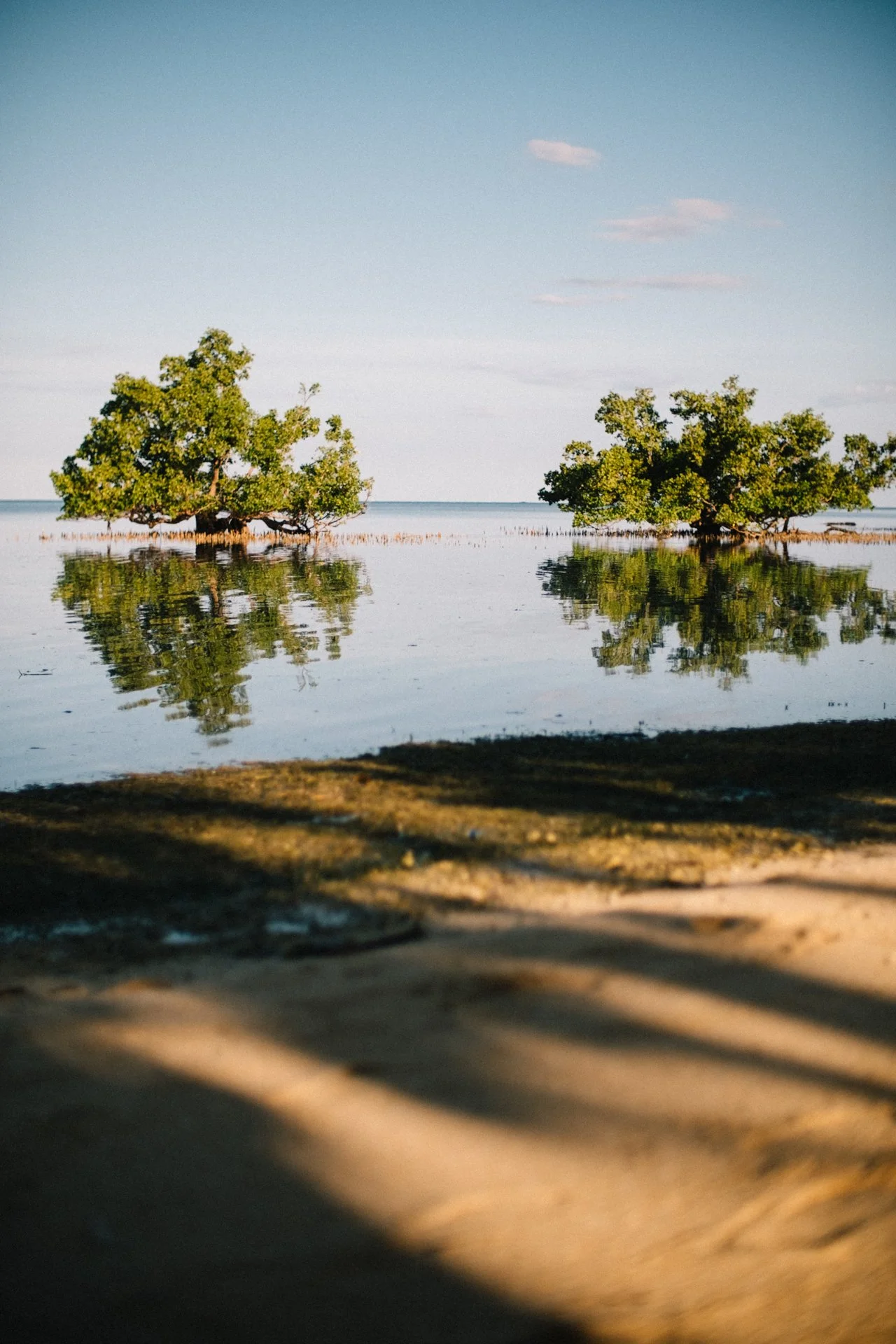 XPRO5115.jpg