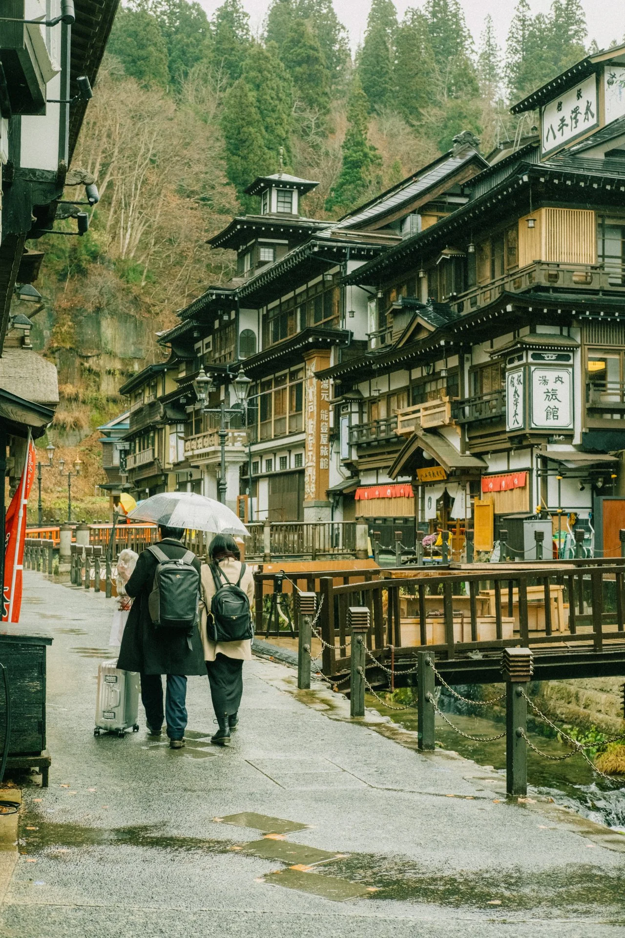 XT206393.jpg