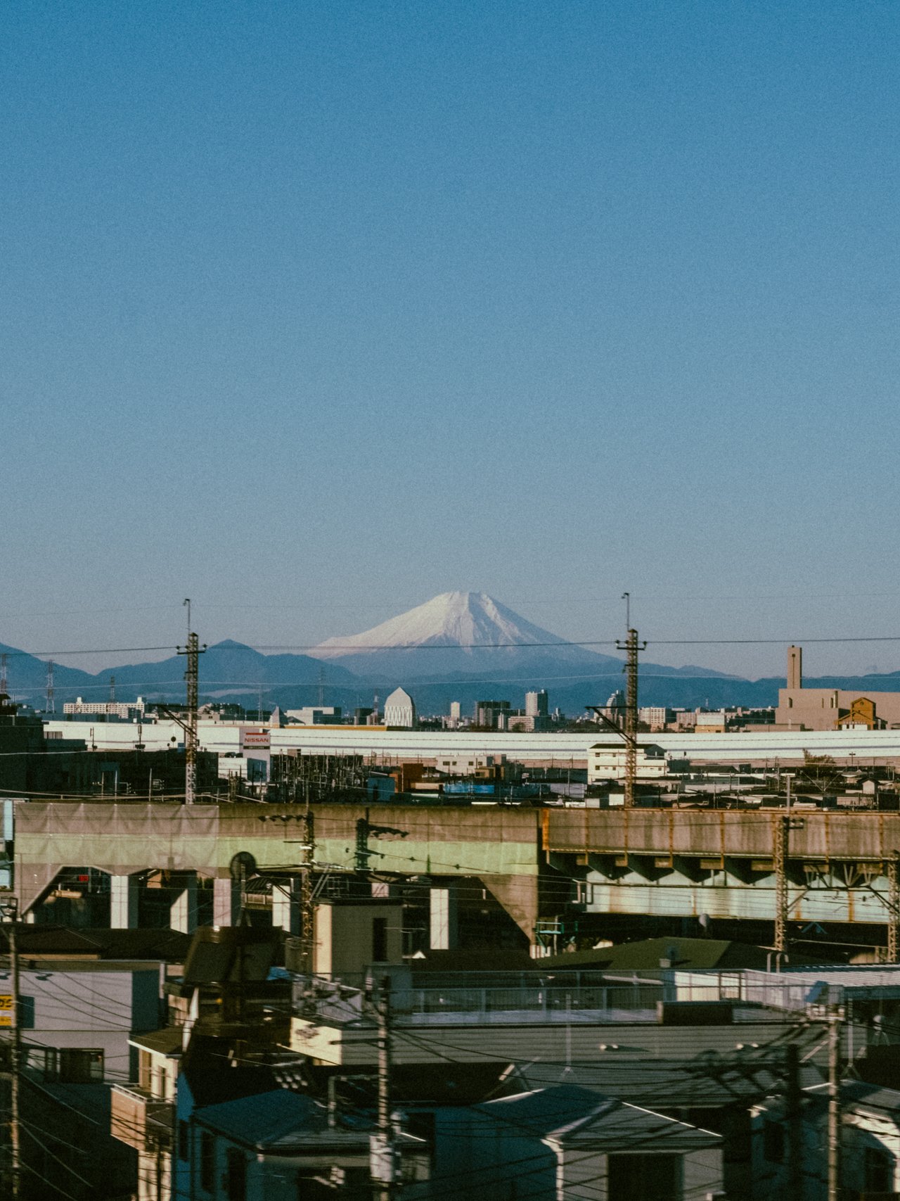 XT206294.jpg