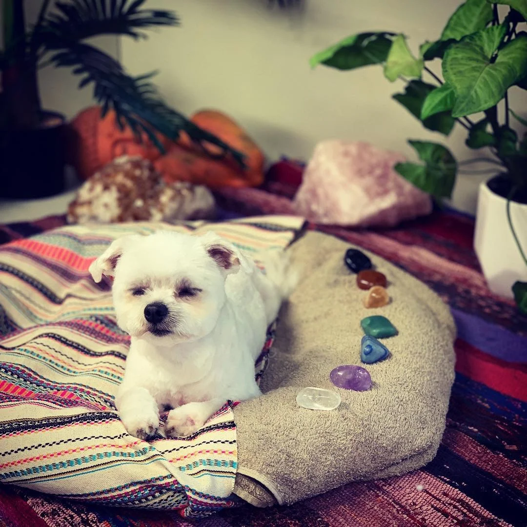 Chilling in the 'Zen Zone' after a groom
