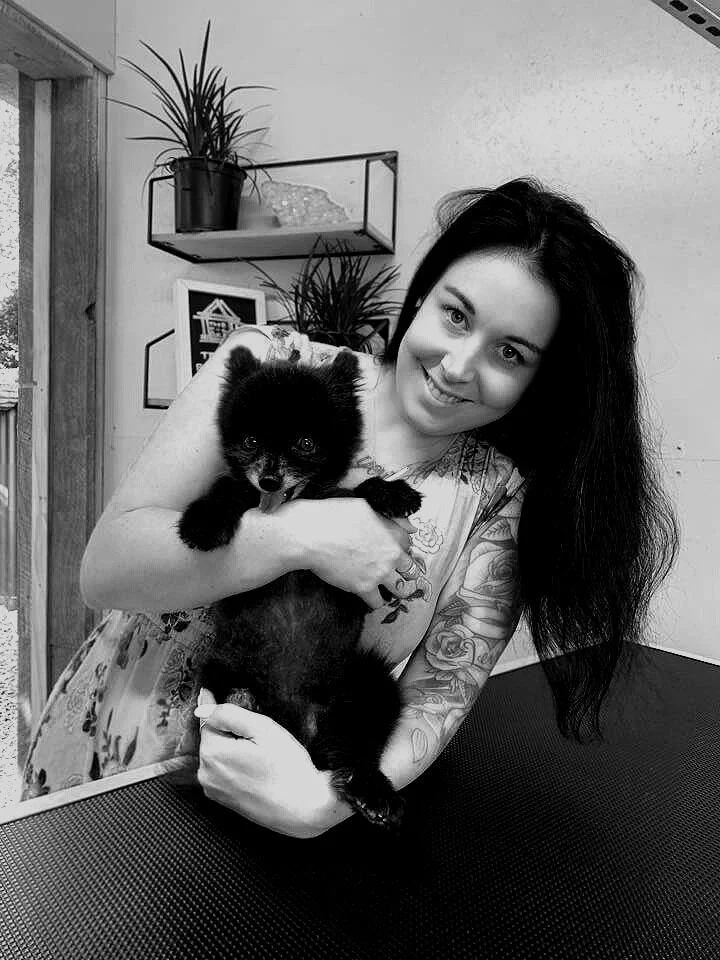 Anna+Dawson+%7C+Dog+Groomer+%7C+Te+Puke+%7C+Papamoa