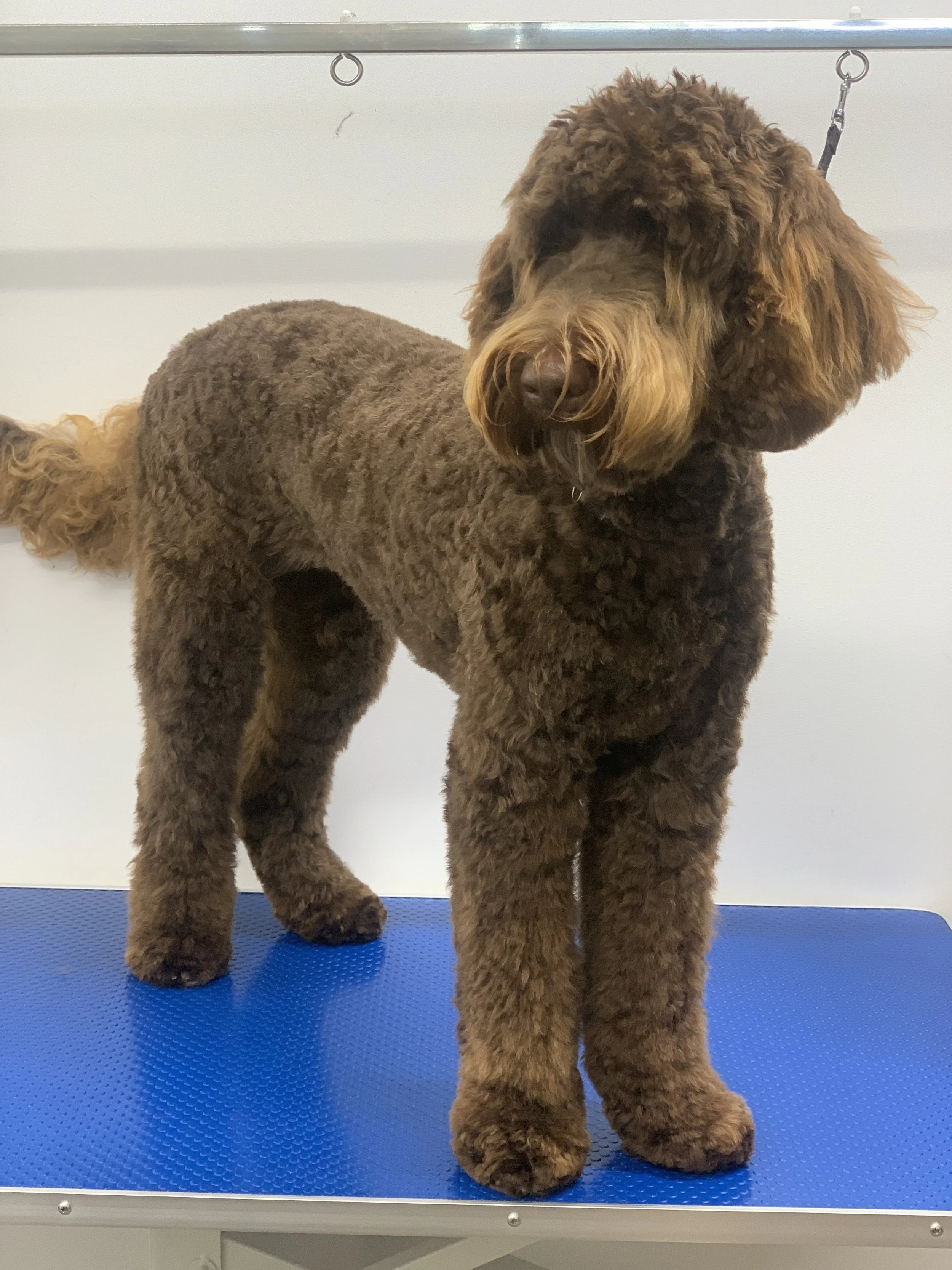 image_6487327 (2).JPG