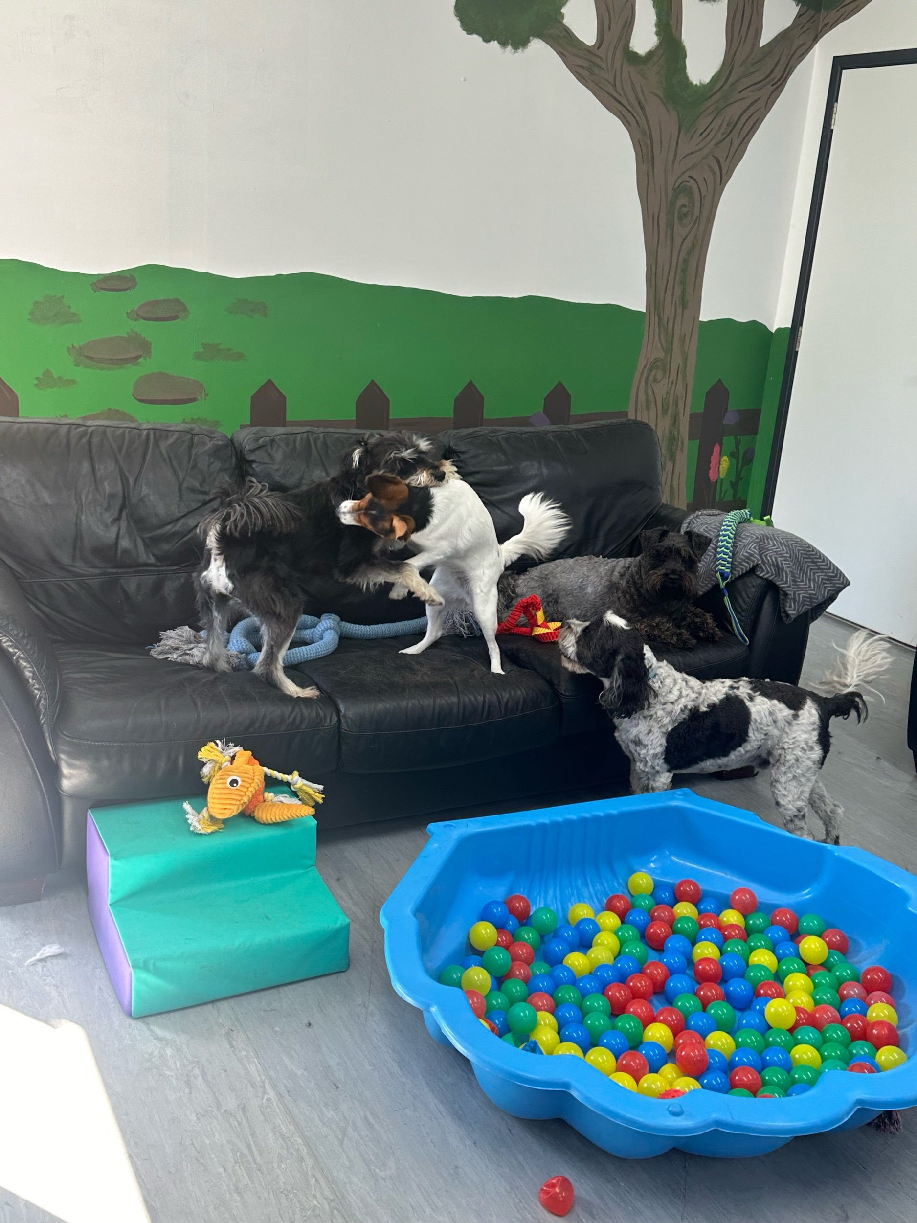 IMG_1077.jpeg
