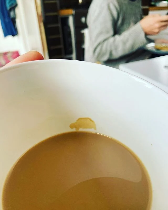 There was a Galapagos tortoise in my coffee this morning.