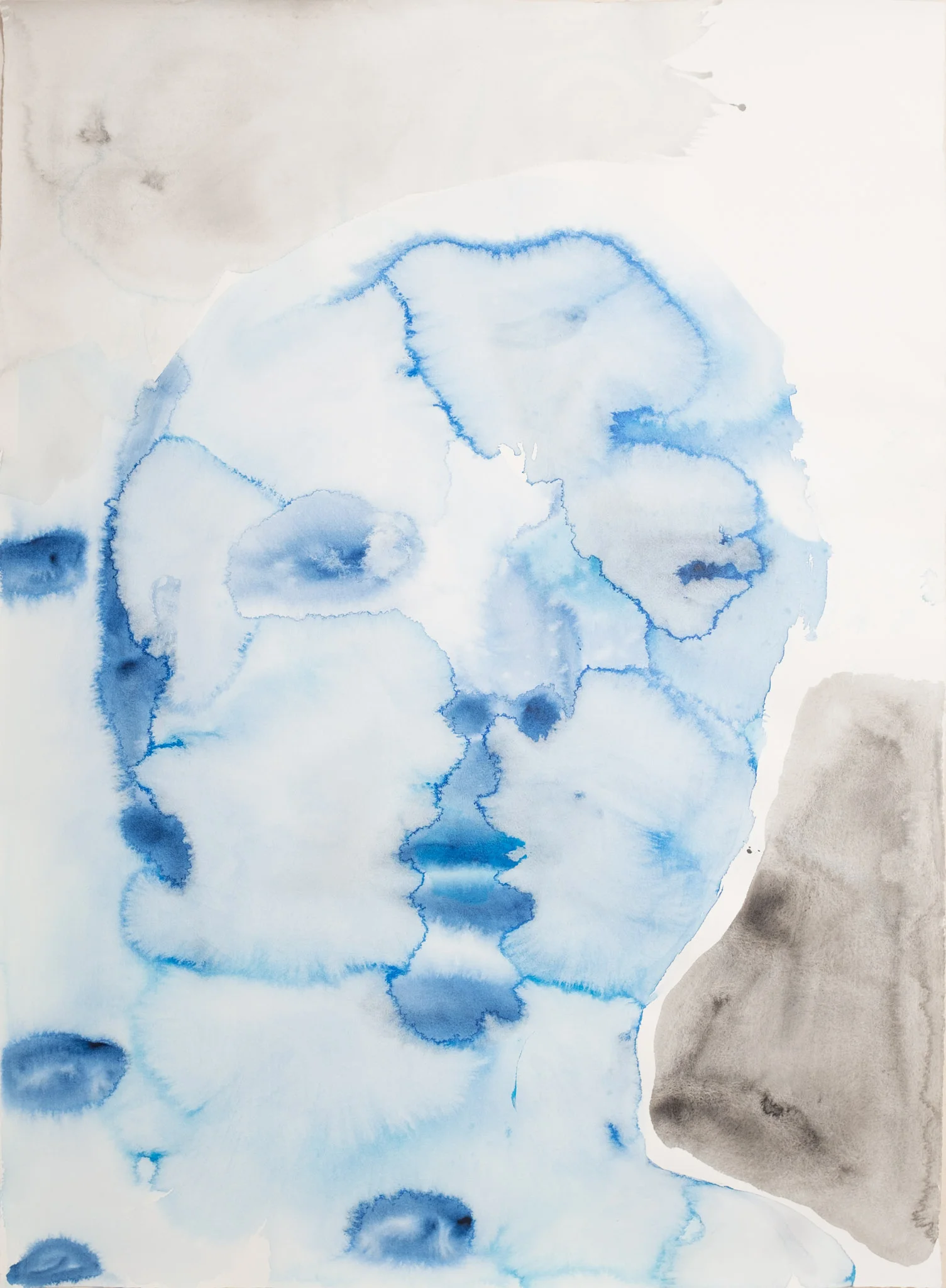 He wasn’t done looking. 2017Acrylic and ink on Hahnemühle107 x 78cmZeitz Collection