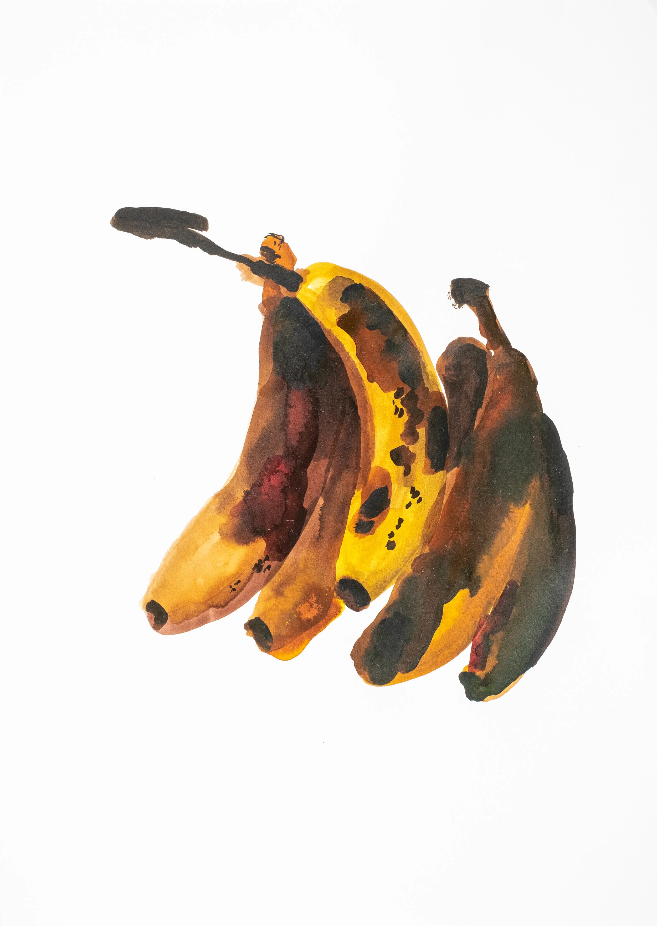 “We are like bananas”Ink on Aquarelle paper297mm x 420mm2020