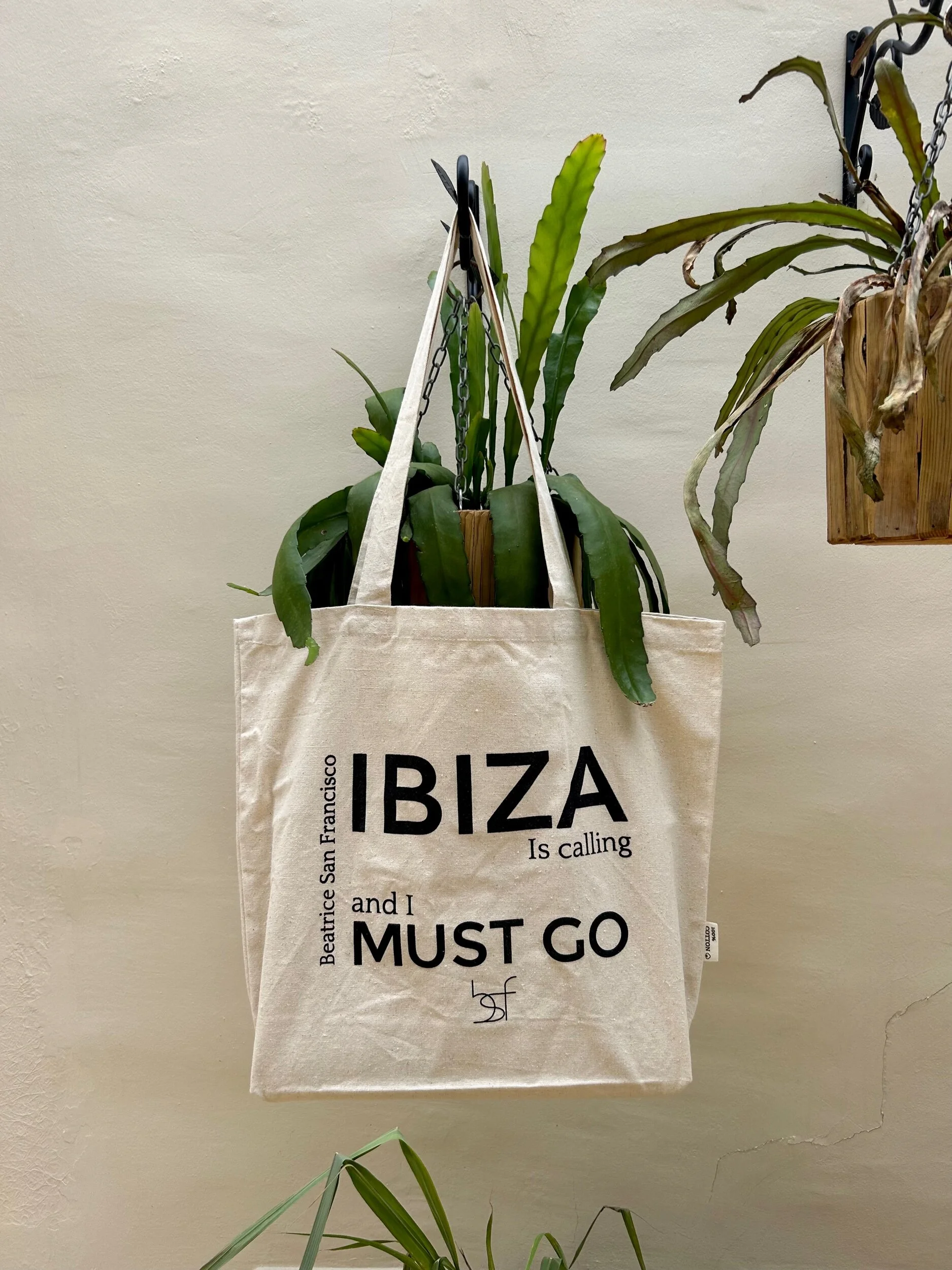 F20400BA-324C-4055-BD7A-BBCCF239C0FC