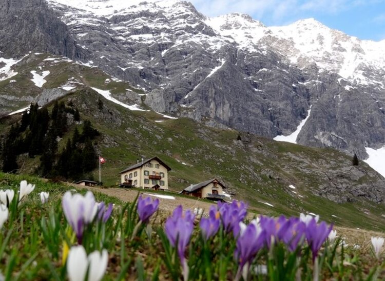 Swiss Mountain Hut.JPG