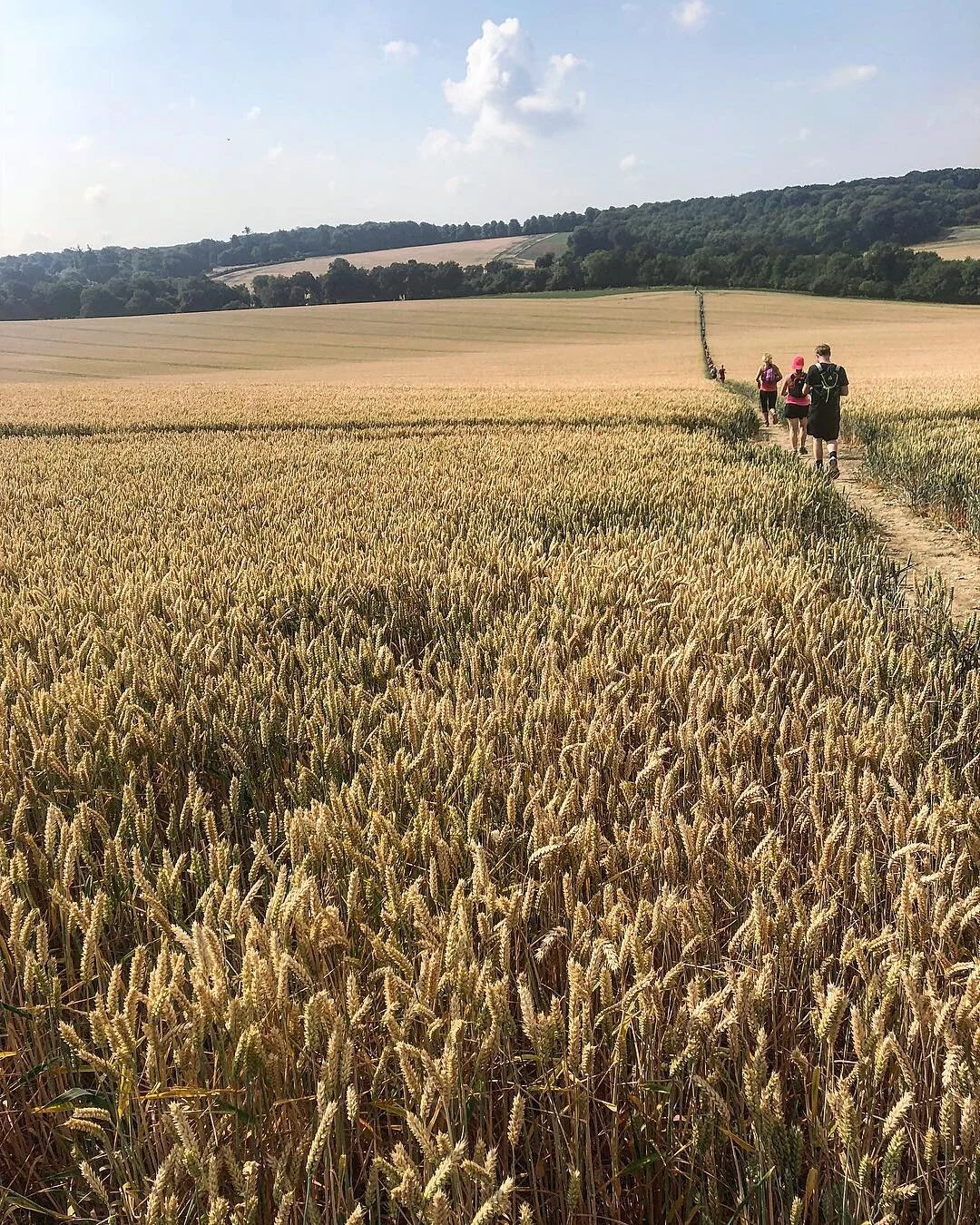 Ridgeway Trail Running