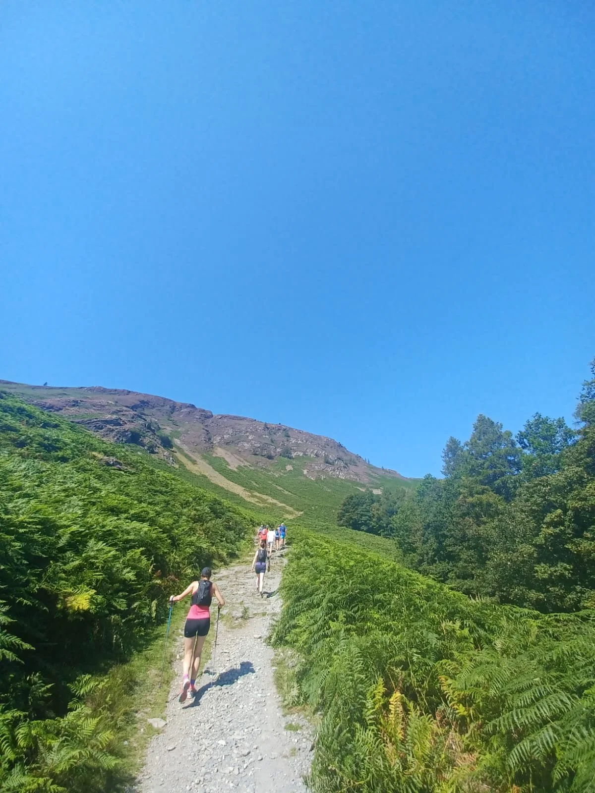 4a023eec-f8b0-40f2-ab34-59351bce98c0.JPG