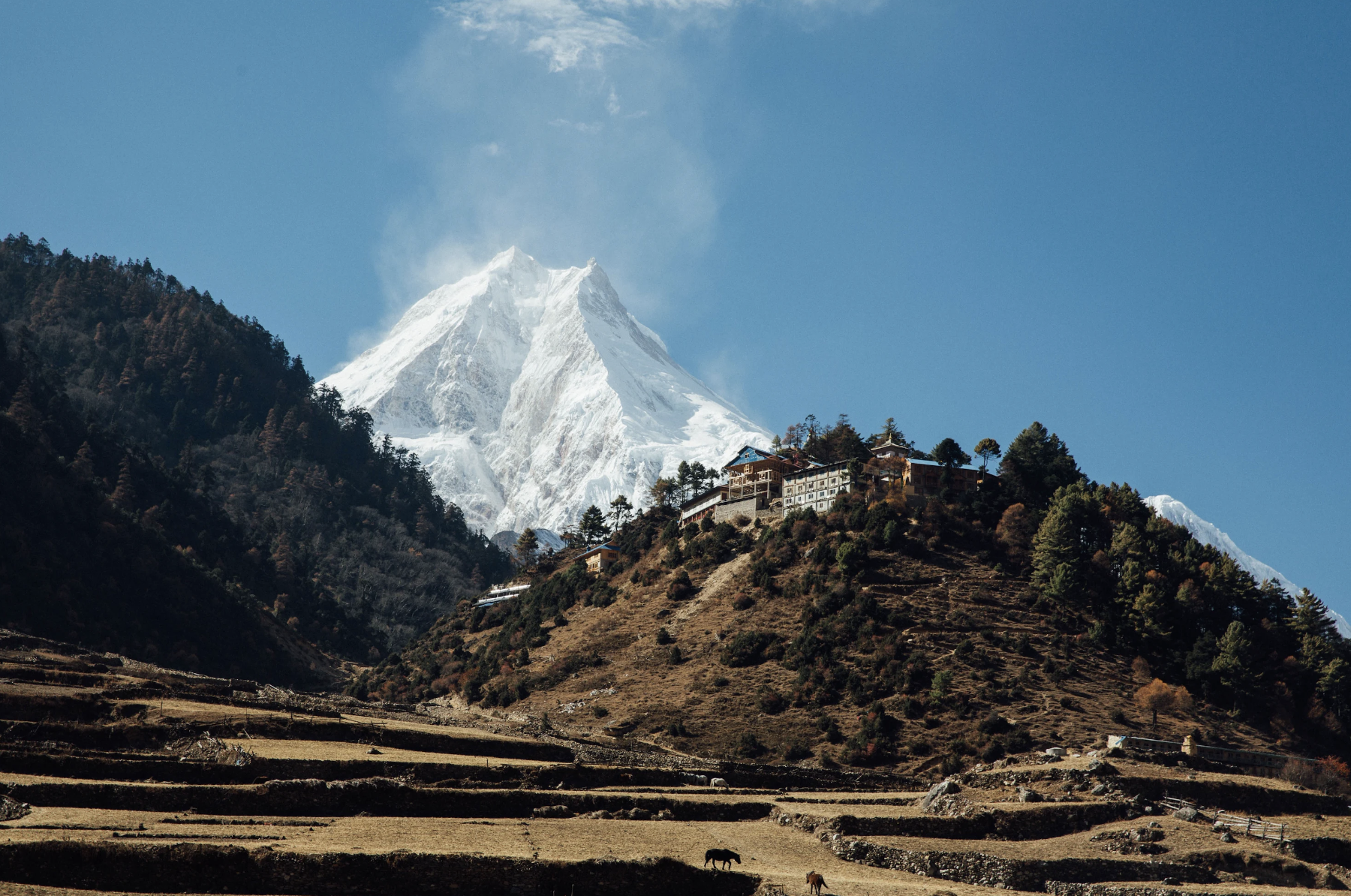 Day 7 Samagaun Manaslu view