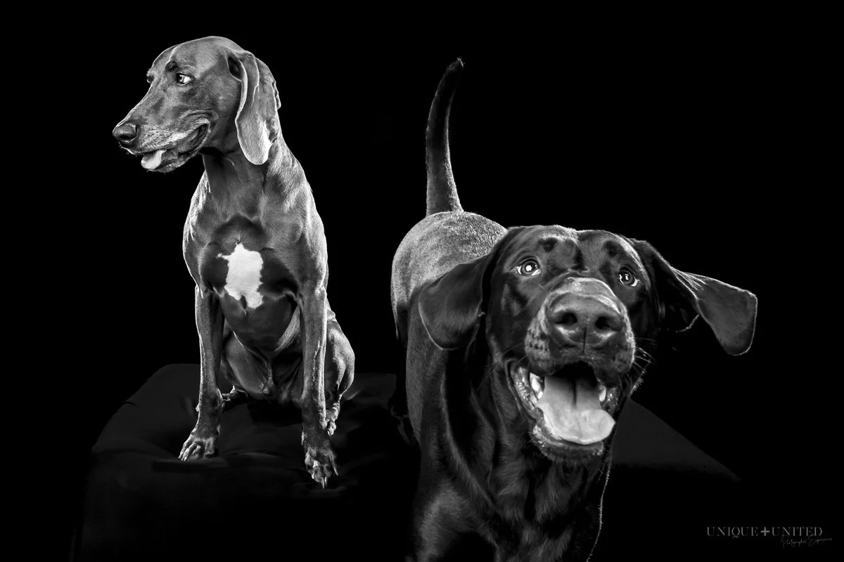 KIRSTY, SONJA, CASPER &amp; MARLEY