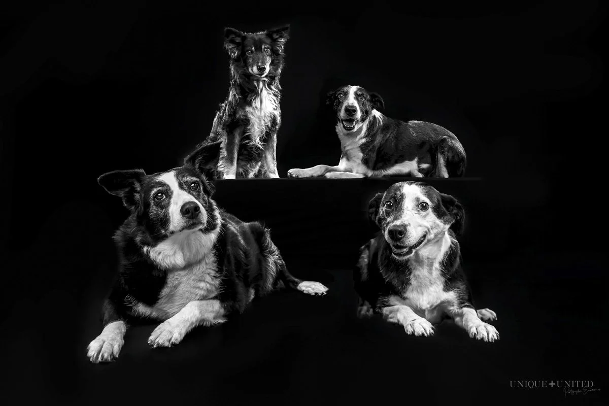 MAYA, SISSY, ALLIE, RHONDA &amp; WOMBLE