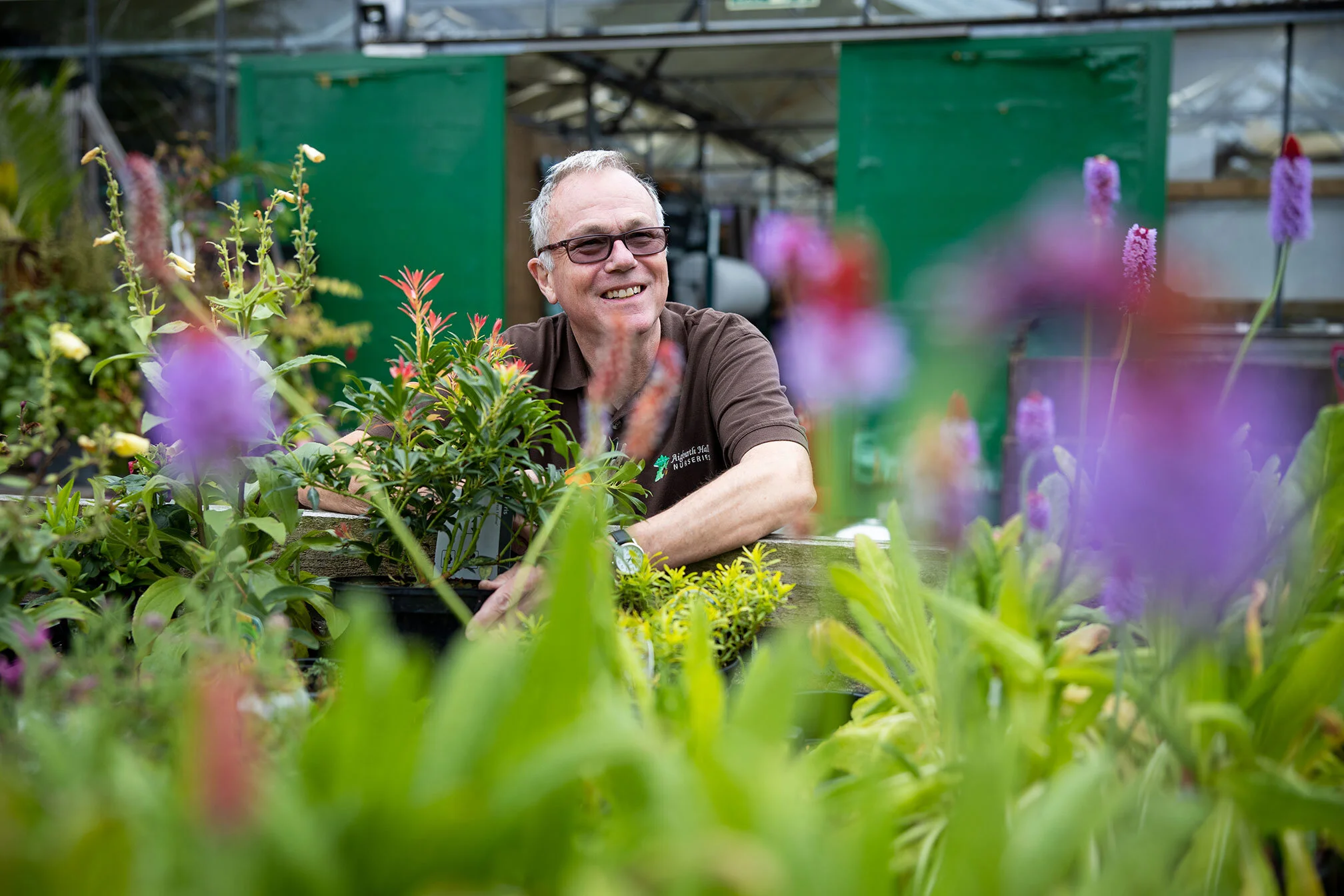 Aigburth Hall Nurseries Garden Centre Liverpool L19