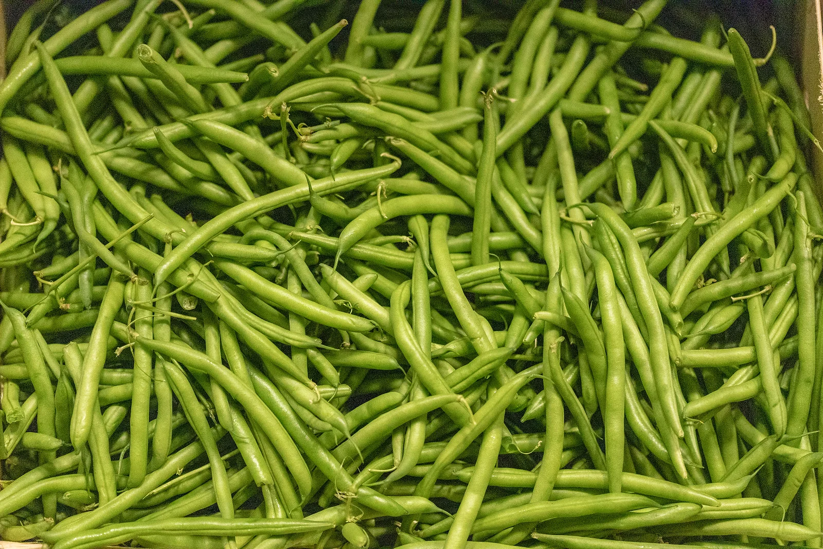 green beans.jpg