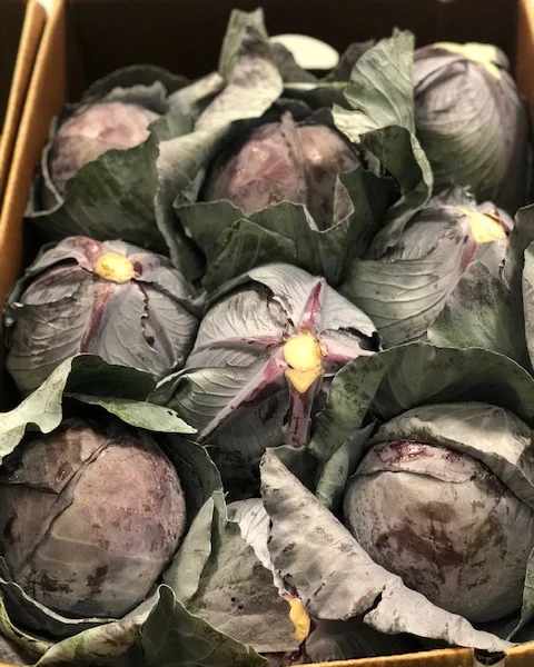 red+cabbage+local.jpg