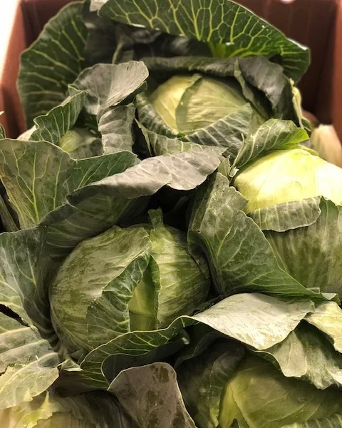 green+cabbage+local.jpg