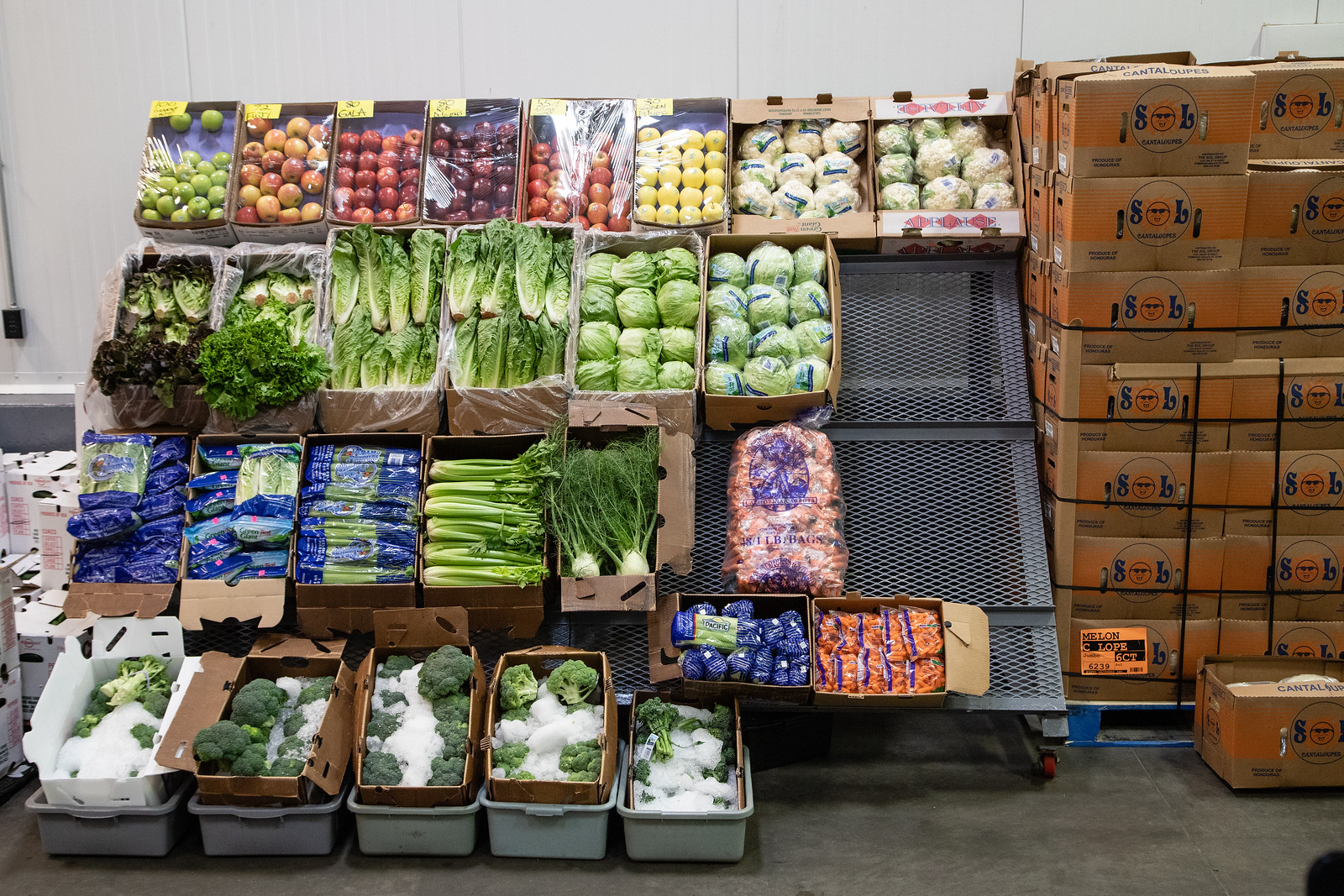 lettuce-apples-broccoli front display.jpg