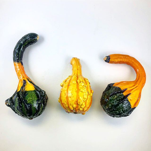 Ohhh my gourd! These little guys are the perfect fit for a fall center piece on any table in your home. Pumpkin today and grab these fun decorations before you&rsquo;re hanging the Christmas lights... 😳~
&bull;
&bull;
&bull;
&bull;
#gourds #pumpkins