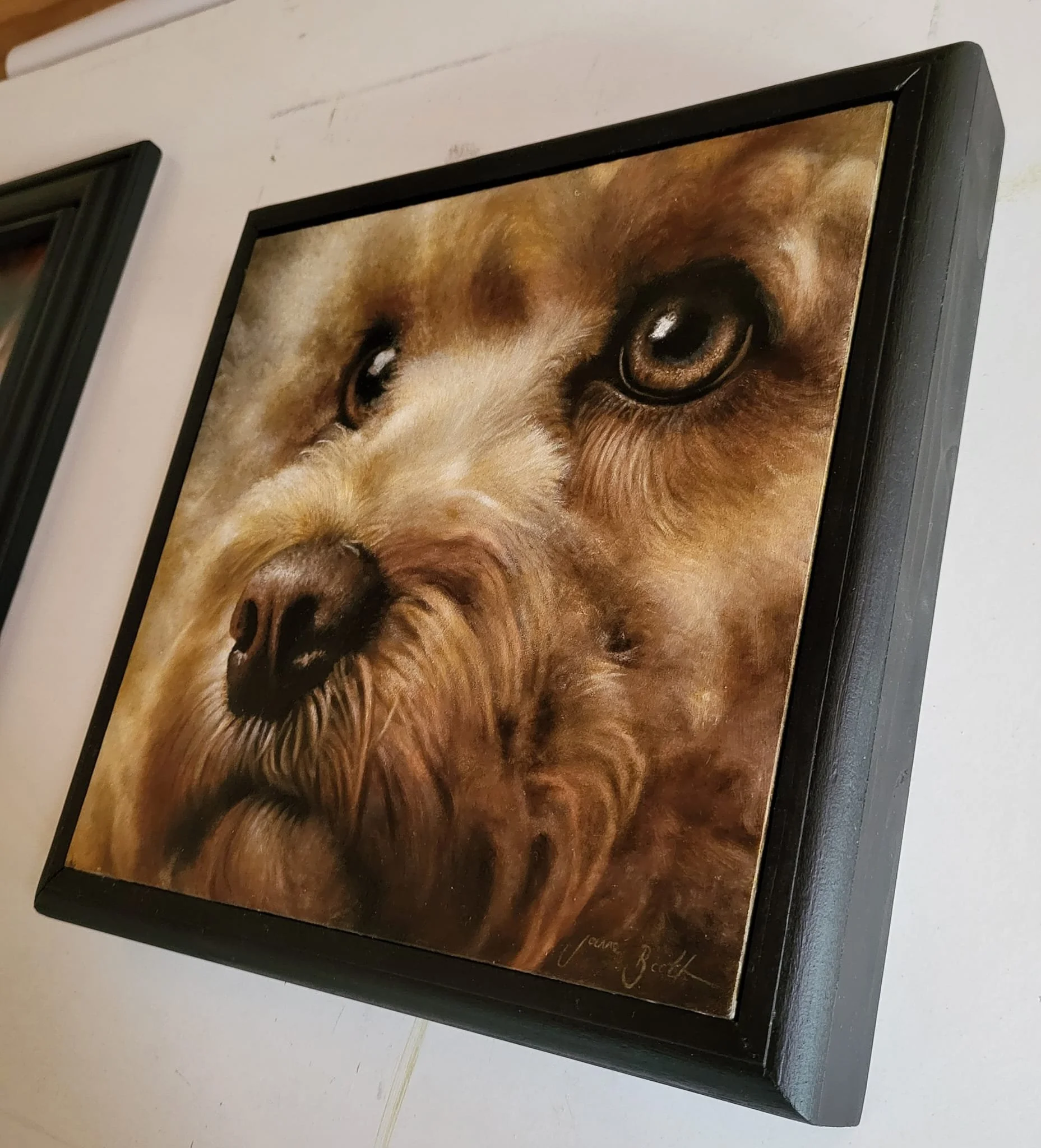 Framed Small Dog - 12" x 12" - Oil on Panel - Available for sale