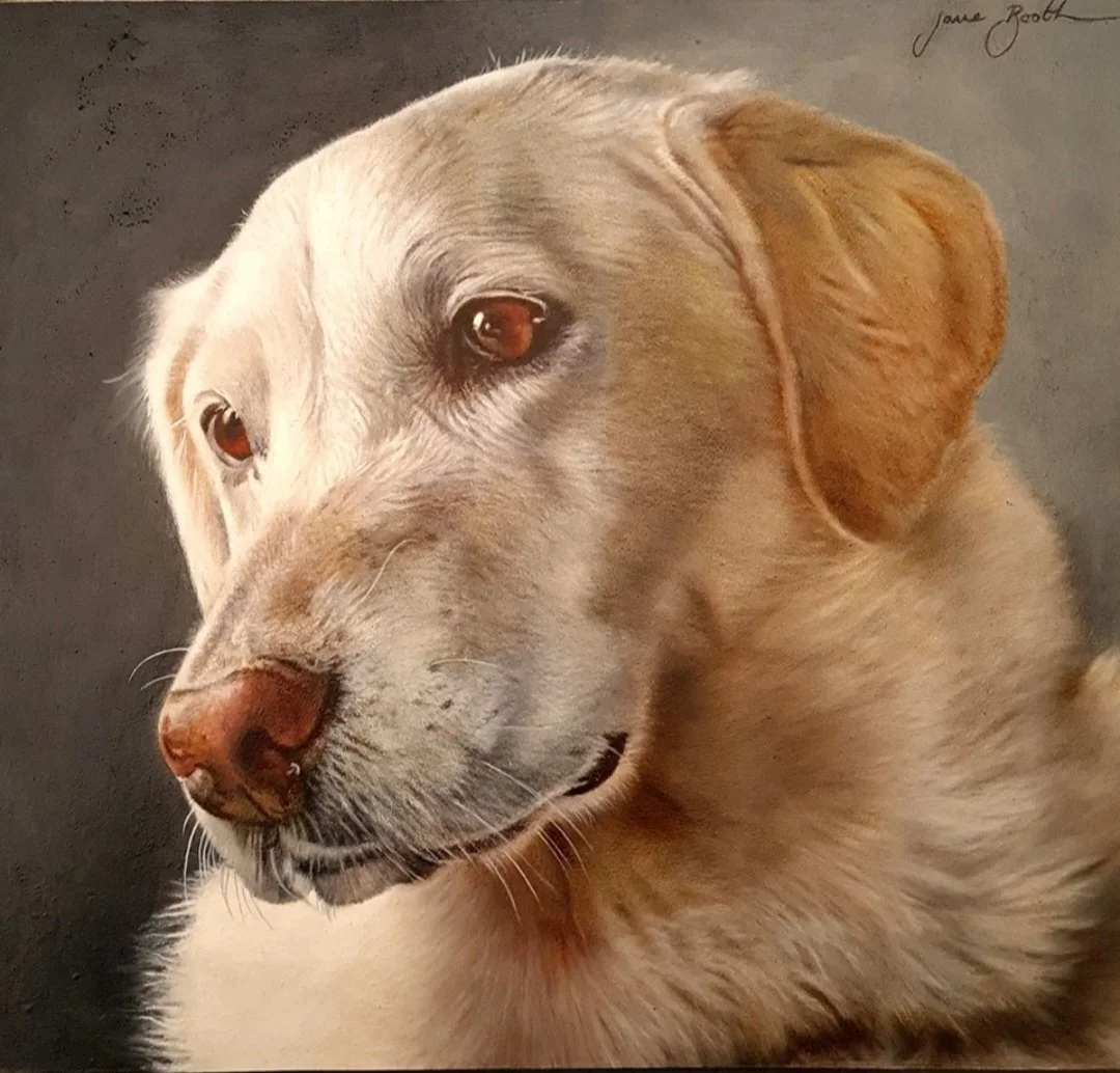 Lily - 12" x 13" - Oil on Panel - Past Commission