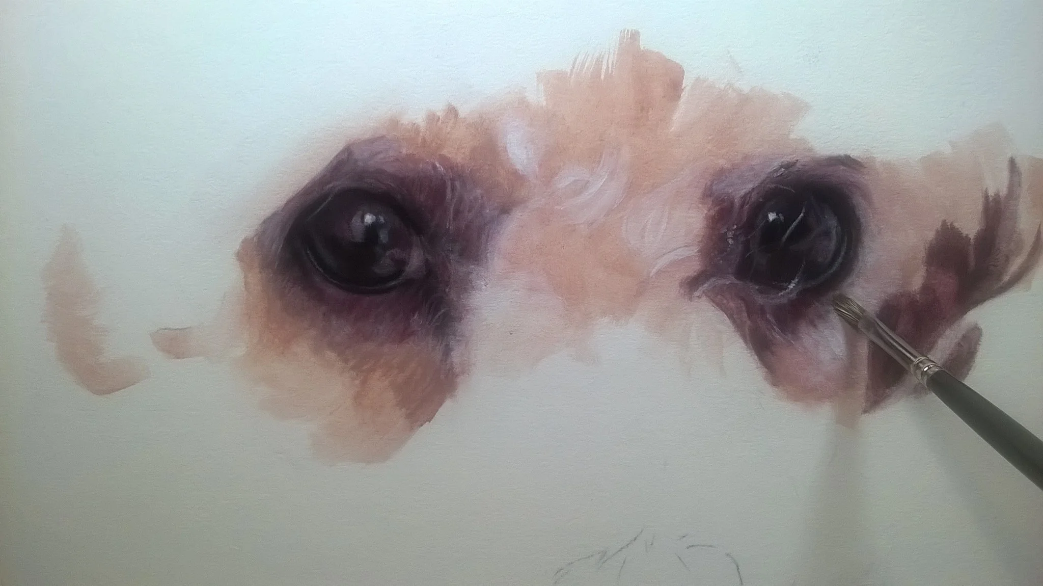 Jane will Demonstrate the Techniques She Uses to Produce These Paintings