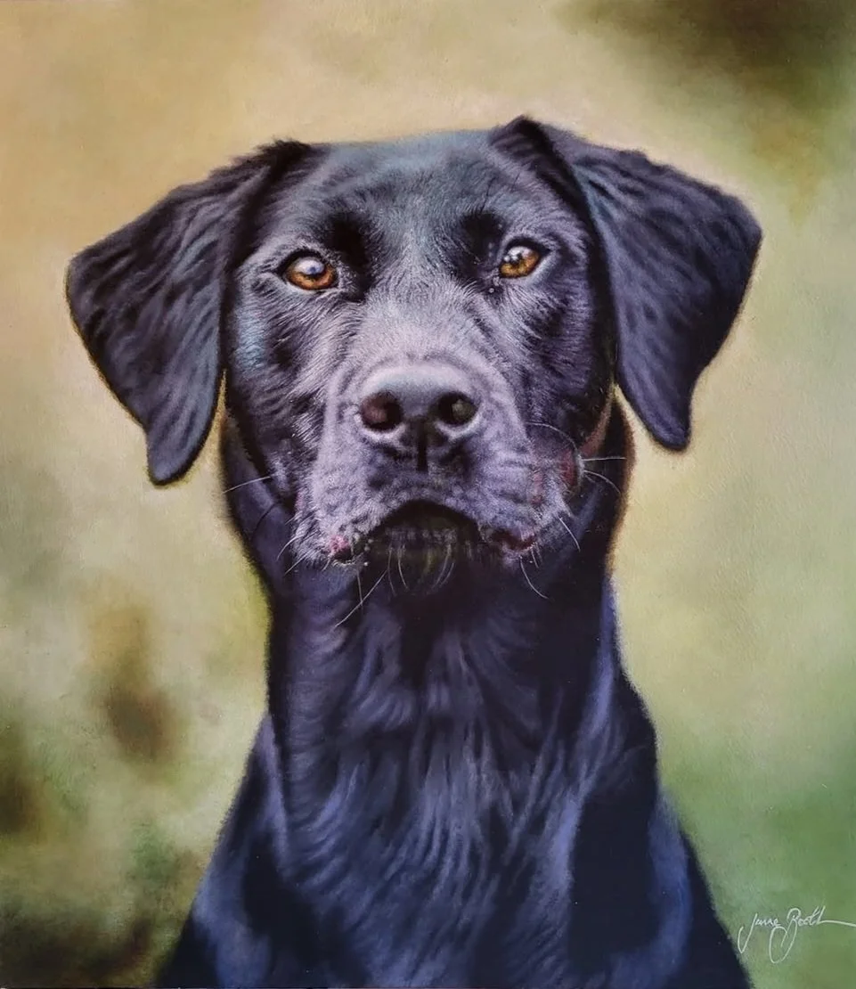Koley - 14" - 16" - Oil on ACM - Past Commission