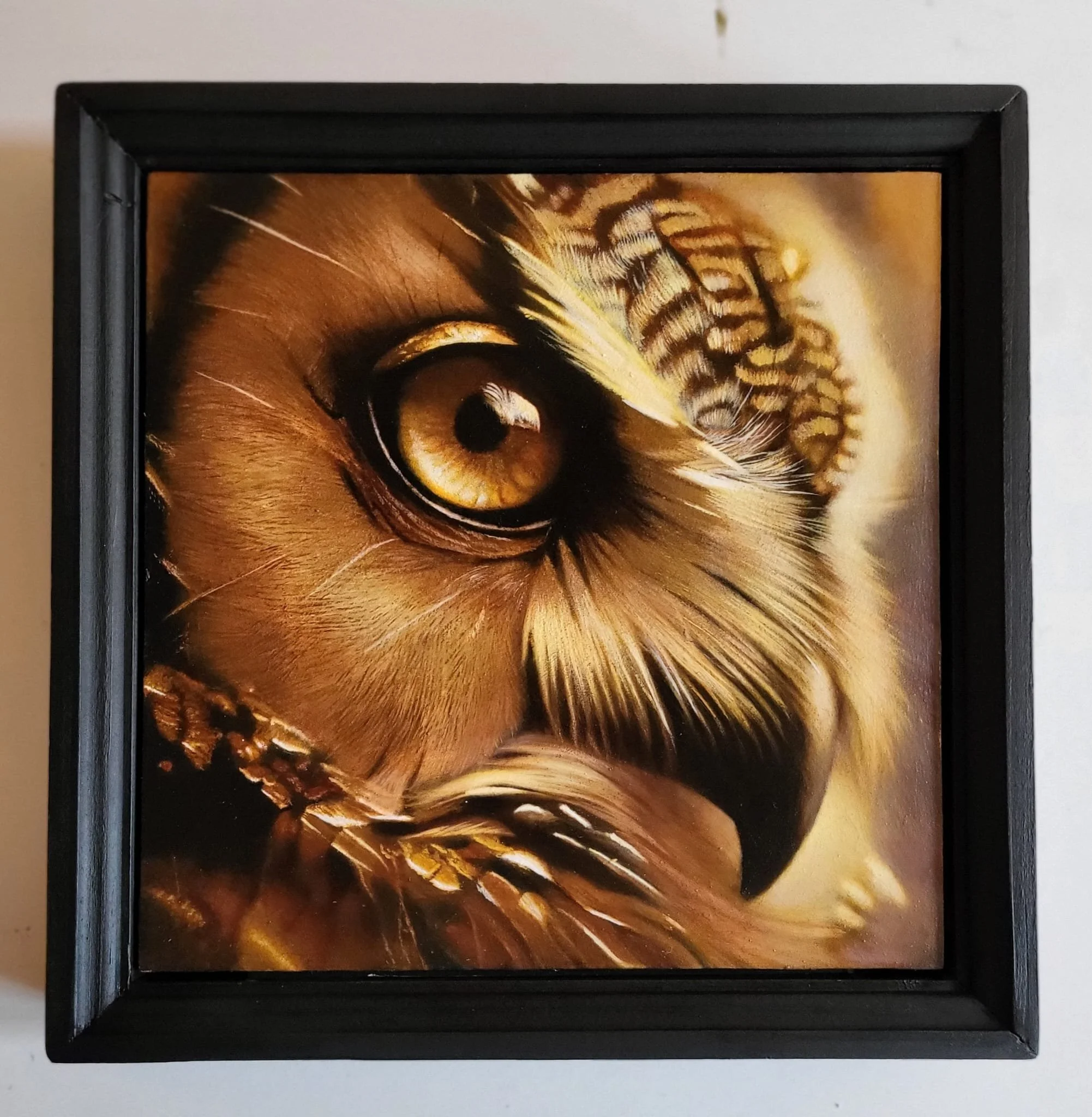 Framed Owl - Available for sale - Sold