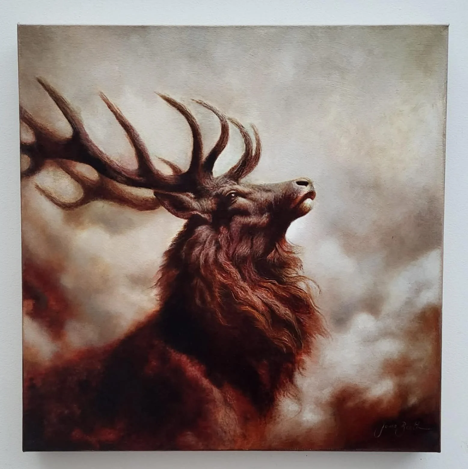 Stag - Available for sale - Sold