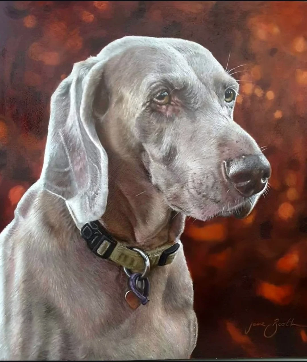 \jax - 16" x 15" - Oil on Panel - Past Commission