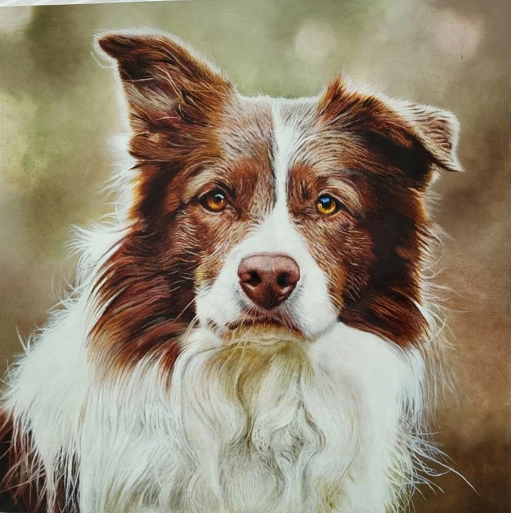 Hero - 16" x 16" - Oil on Panel - Past Commission