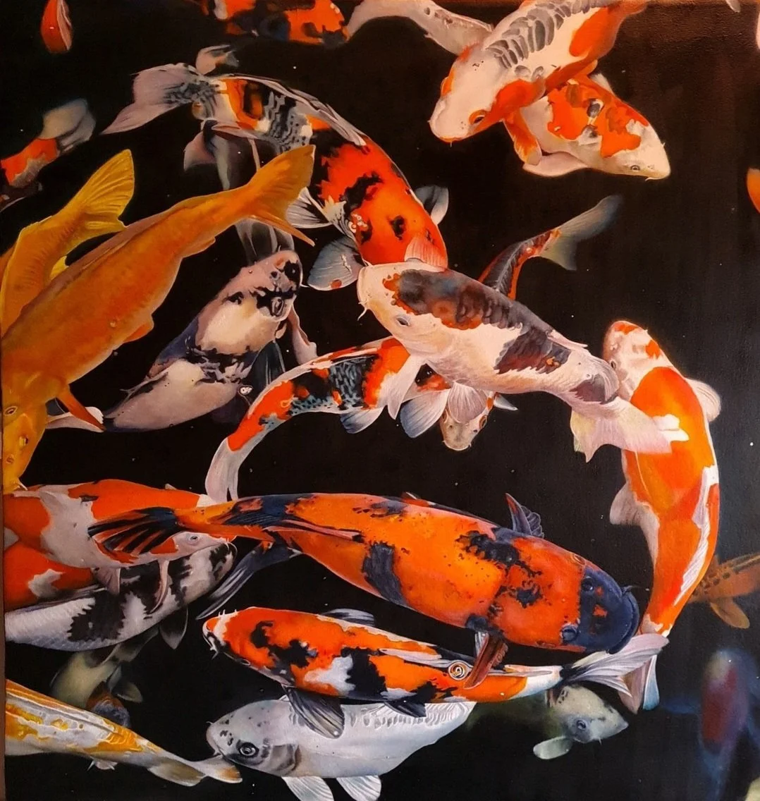 Koi Carp - 32" x 32" - Oil on Canvas - Available for Sale