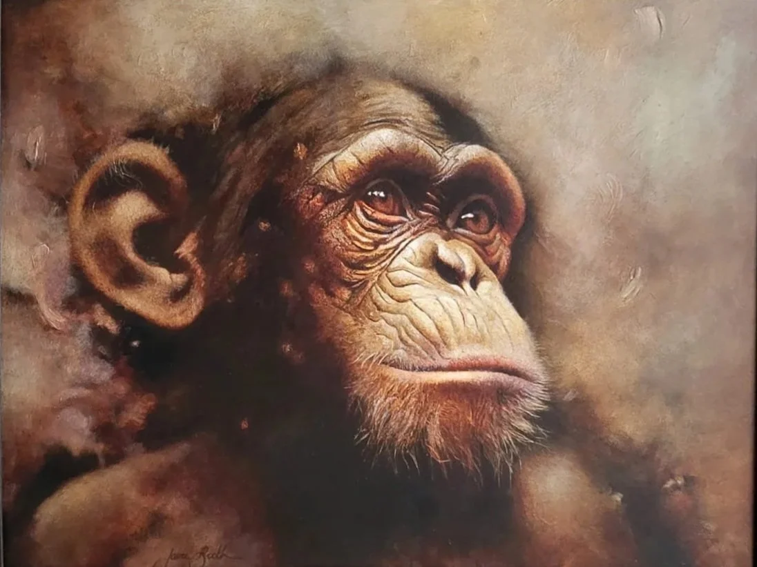 Oil Painting of a chimpanzee with detailed facial features and a contemplative expression. Painted from a photo taken at Twycross zoo