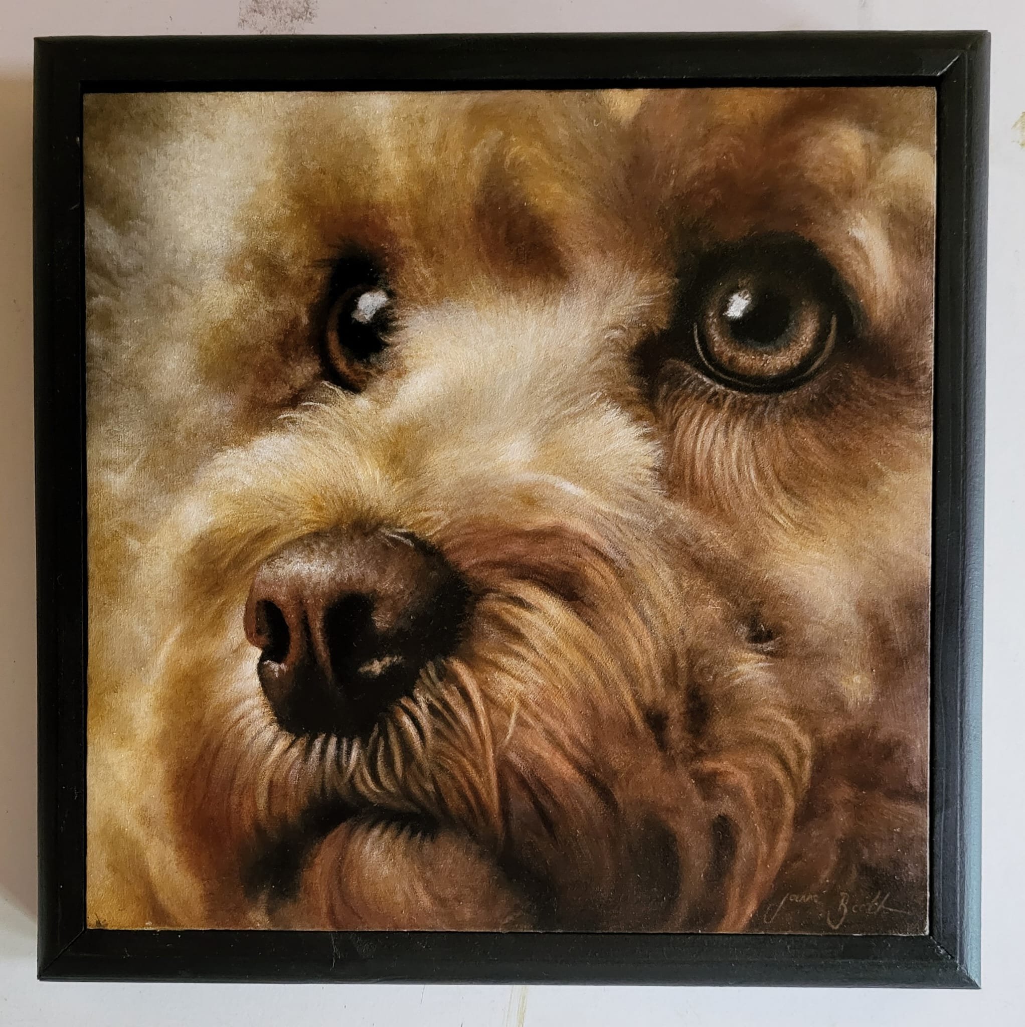 Framed Small Dog - 12" x 12" - Oil on Panel - Available for sale