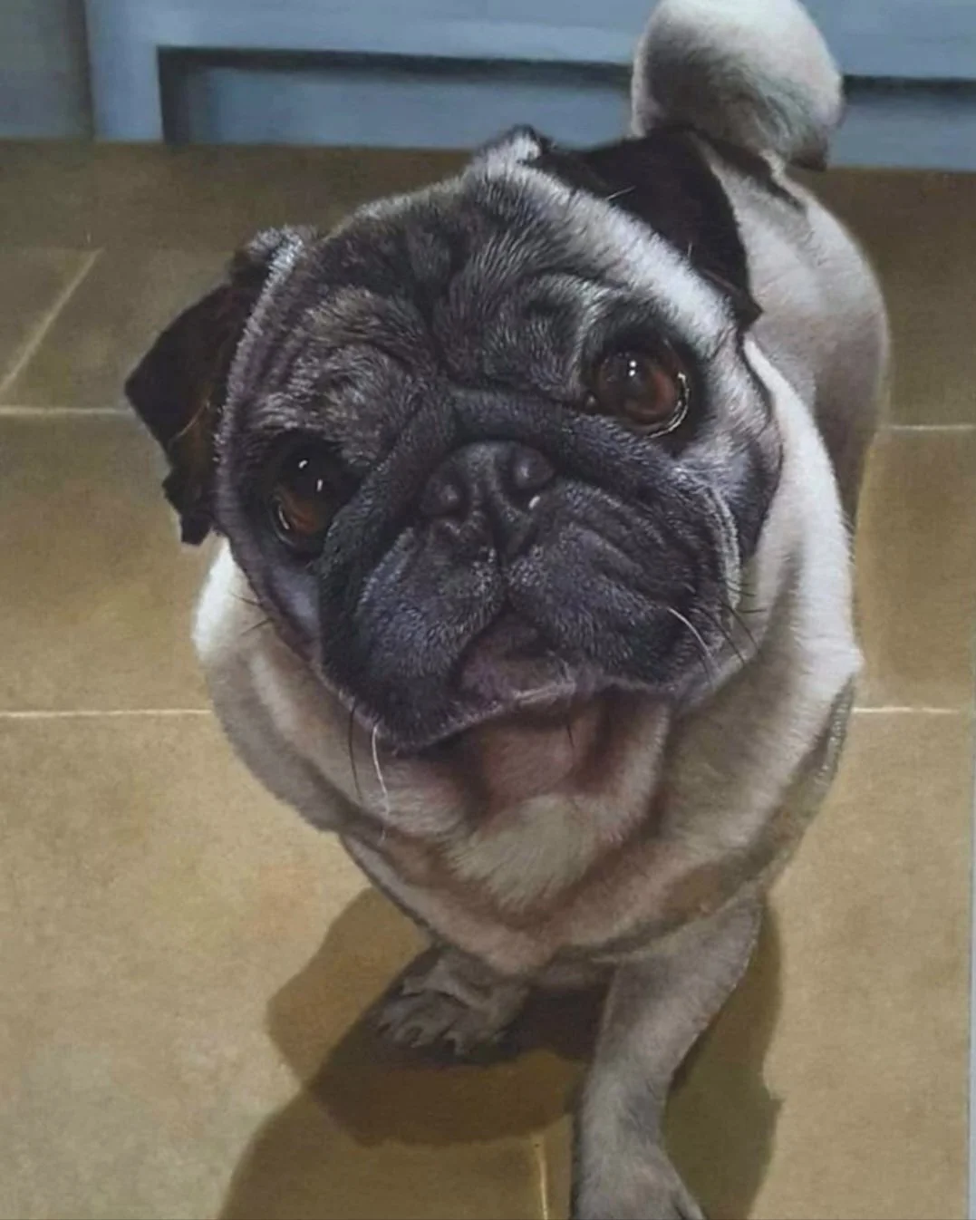 Toby - 18" x 11" - Oil on Panel - Past Commission