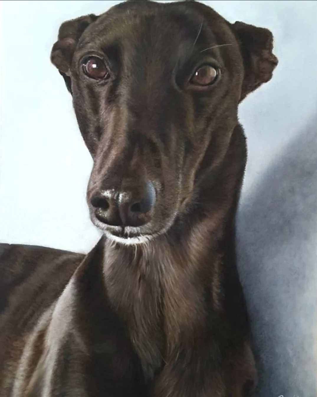 Dixie - 15" x 11" - Oil on Panel - Past Commission